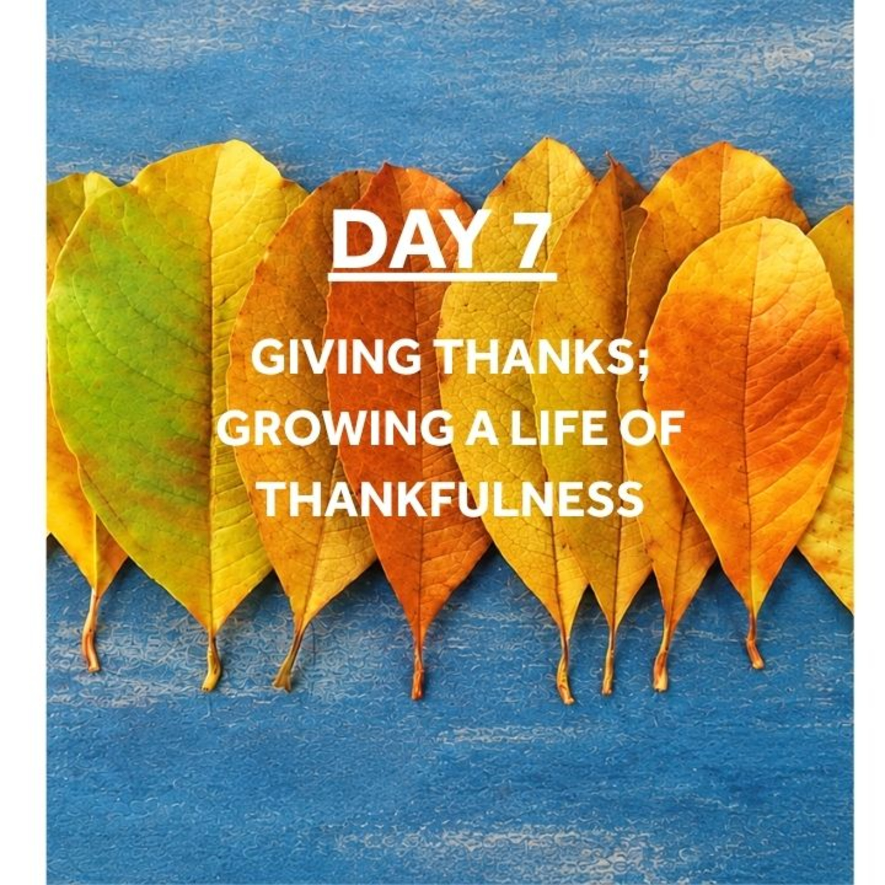 WEEK OF GRATITUDE - Day 7: GIVING THANKS;GROWING A LIFE OF THANKFULNESS