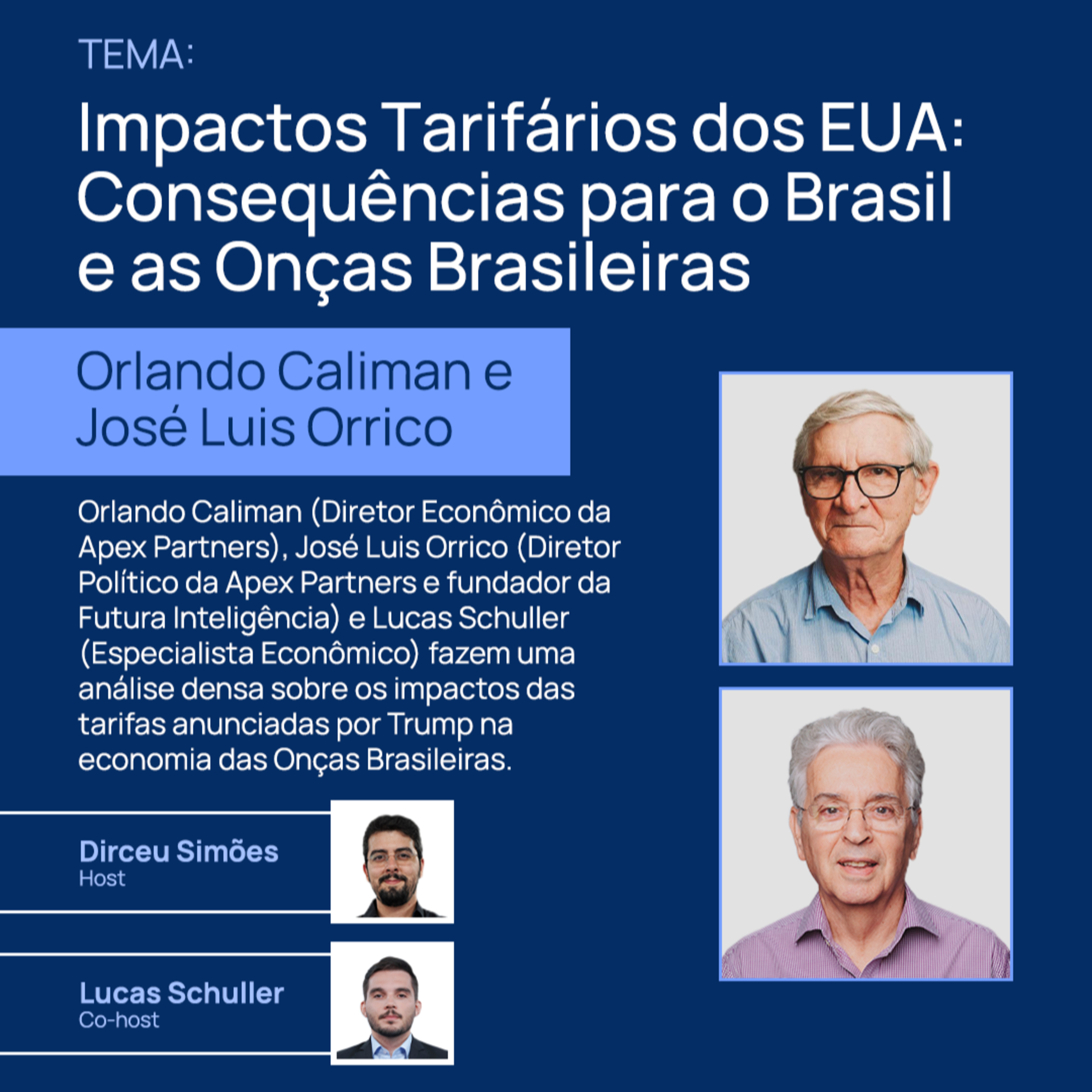 Impactos Tarifários dos EUA: Consequências para o Brasil e as Onças Brasileiras | Market Lab #19 episode artwork