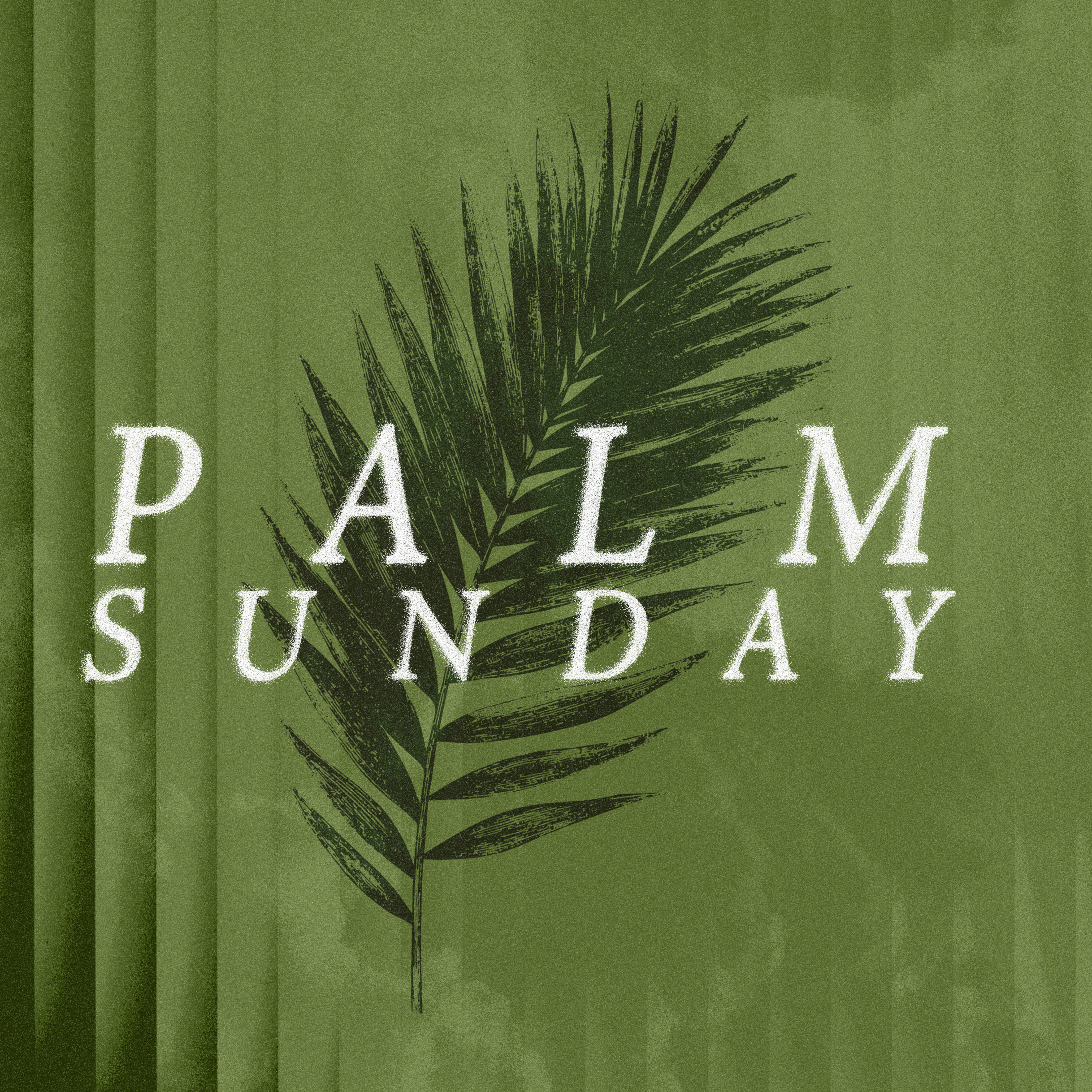 They Praised Him… But Missed Him | Palm Sunday 2026 episode artwork