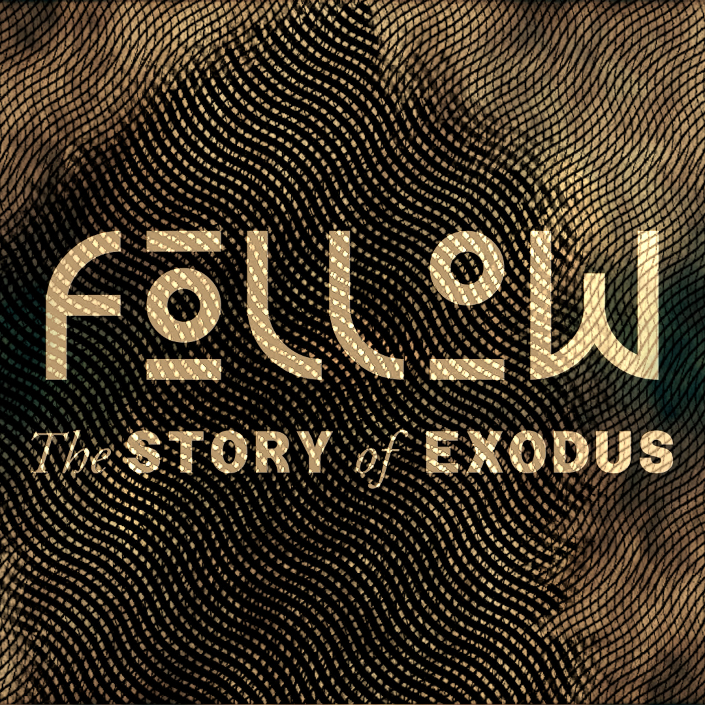 God Covers What Sin Exposes | Exodus 26 Explained | Follow: The Story of the Exodus XXI episode artwork