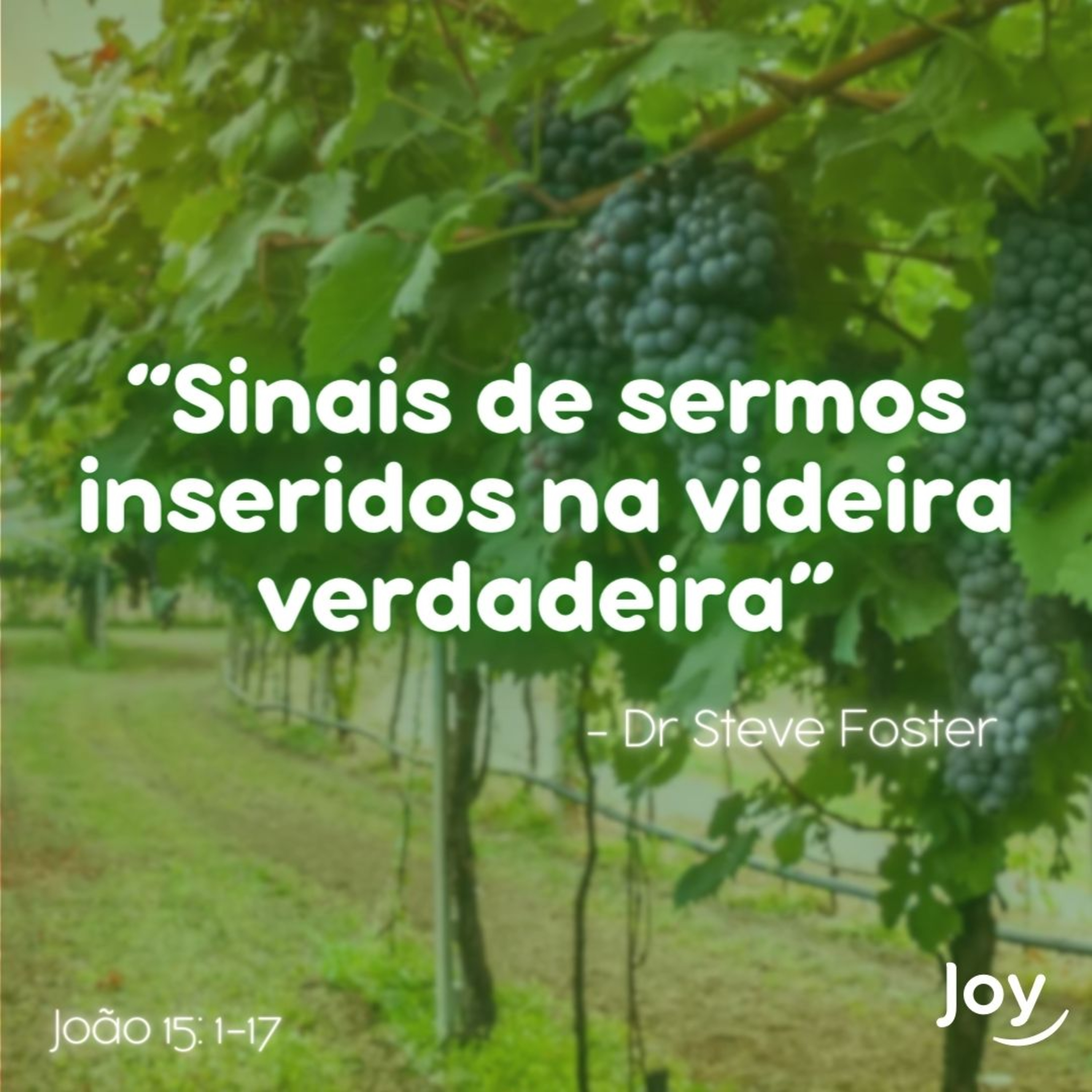 “SINAIS DE SERMOS INSERIDOS NA VIDEIRA VERDADEIRA ” - Steve Foster I Igreja Joy episode artwork