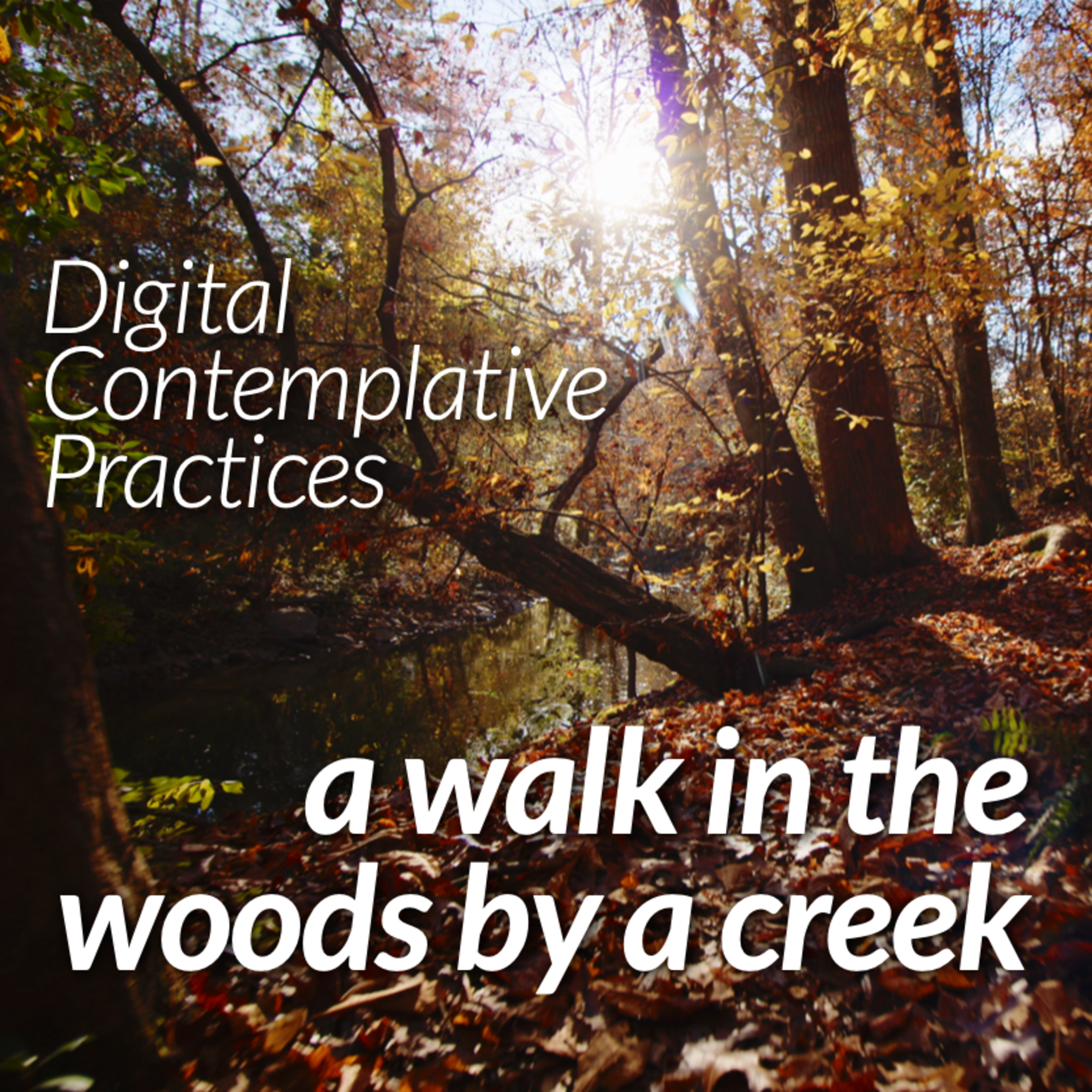 Digital Contemplative Practice: "A Walk in the Woods by a Creek" (Advent 2) episode artwork