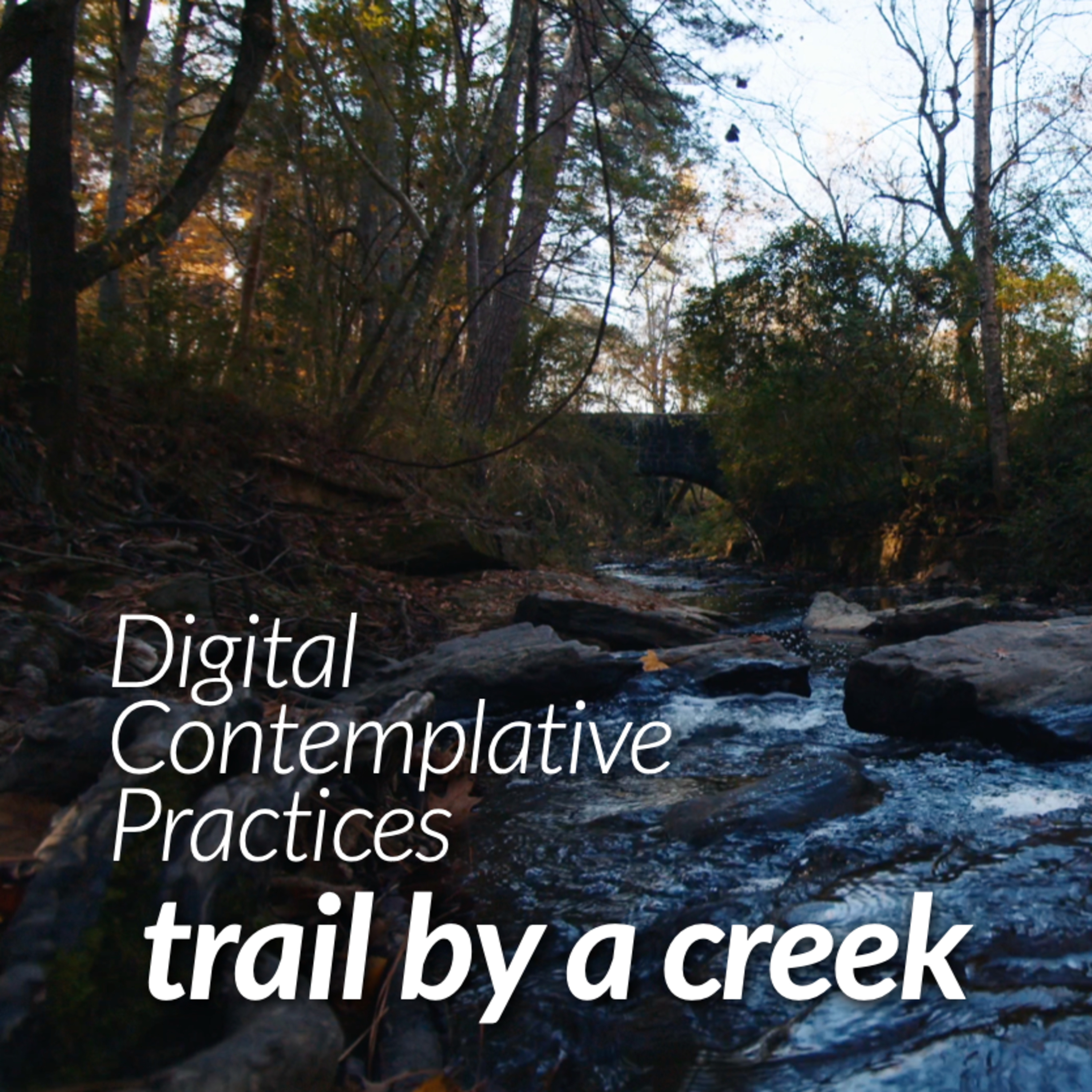 Digital Contemplative Practice: "Trail by a Creek " (Advent 5) episode artwork