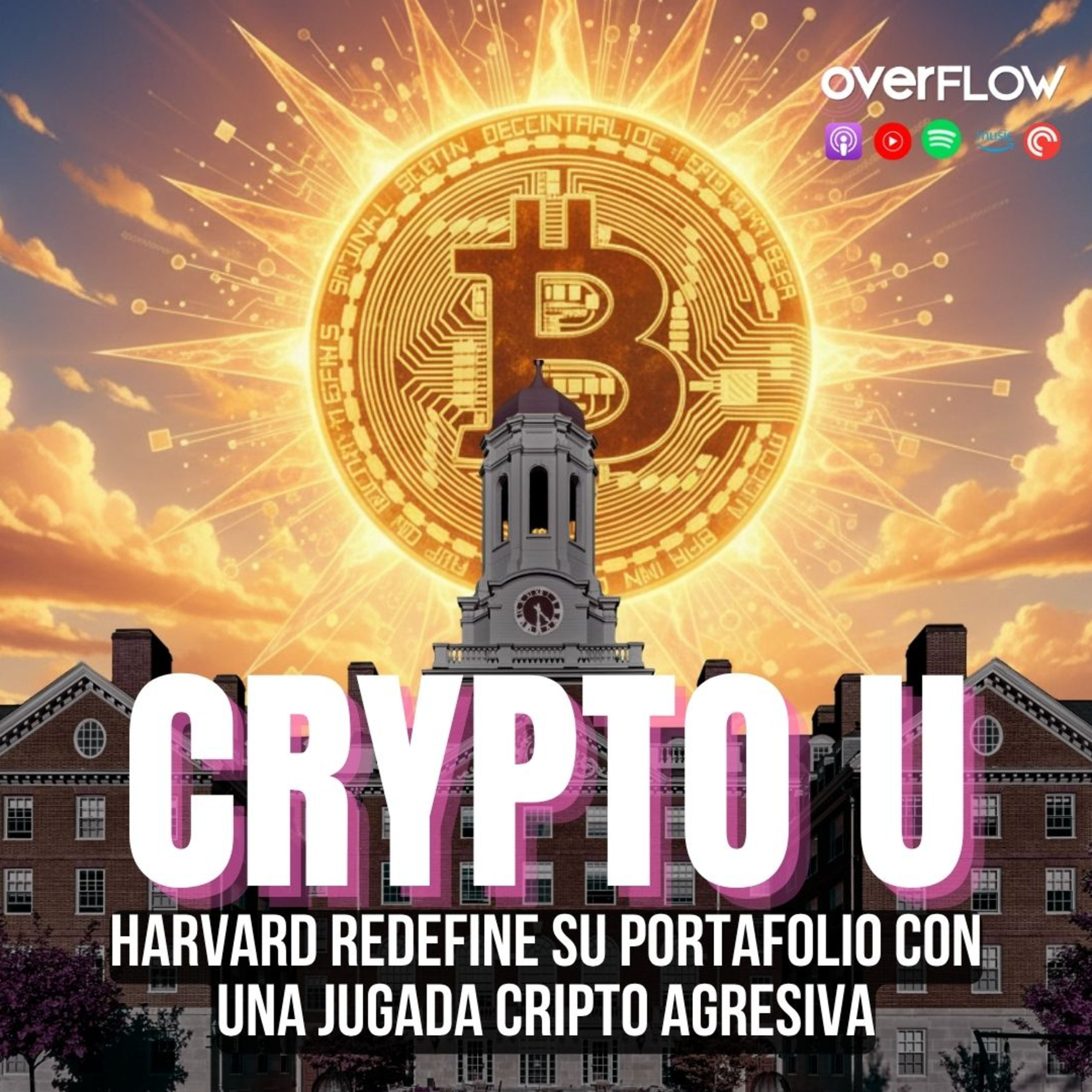 El gato más querido del barrio… y el robotaxi que lo mató | OVERFLOW 181125