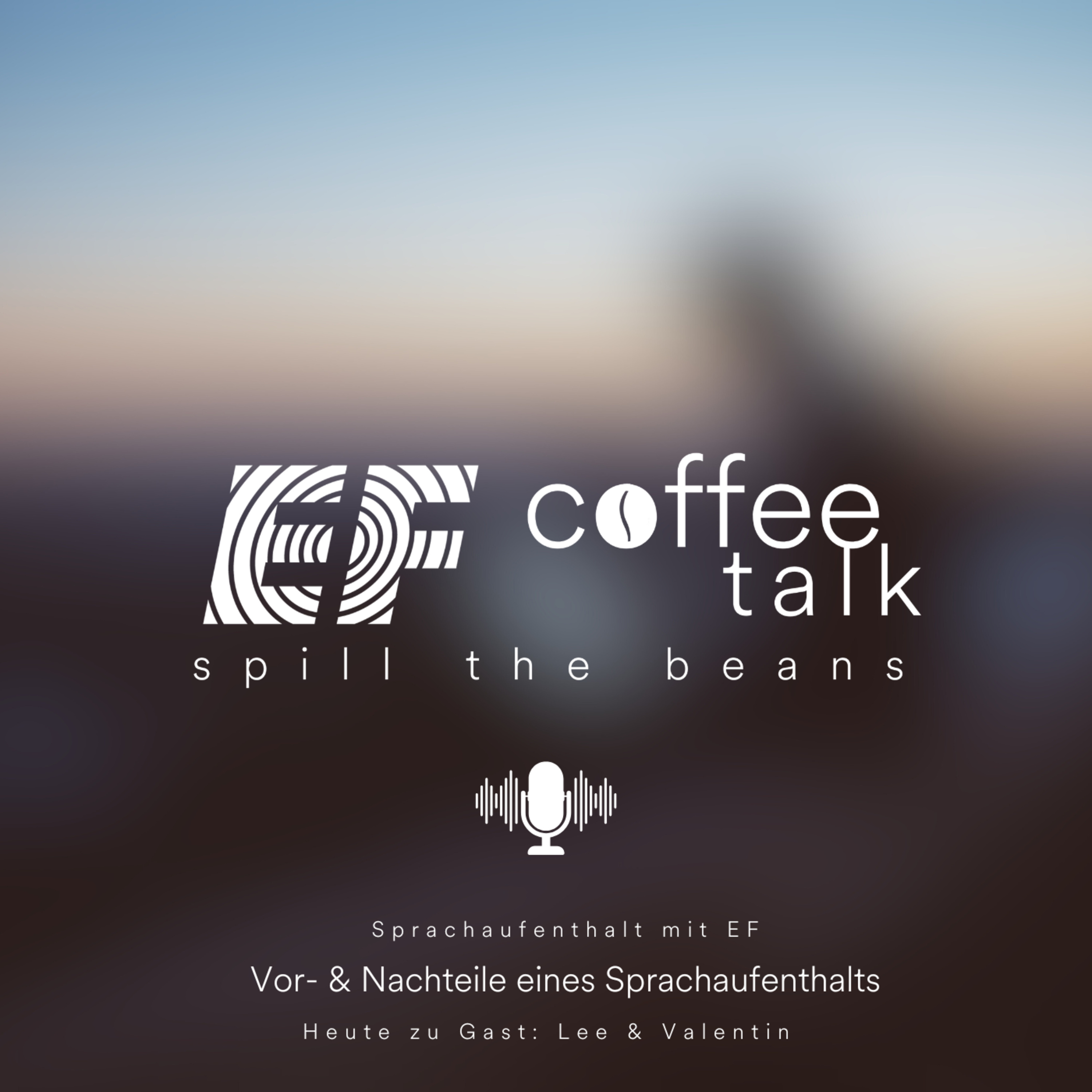 #17 - Vor- & Nachteile eines Sprachaufenthalts episode artwork