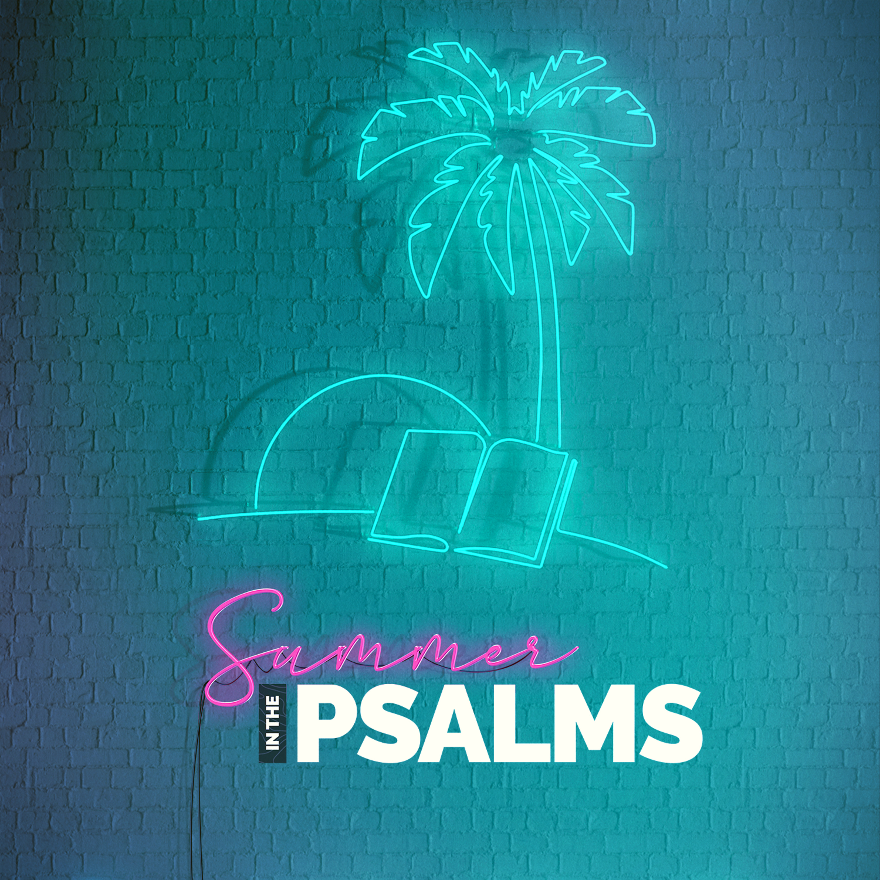 Summer in the Psalms: Week 8 episode artwork
