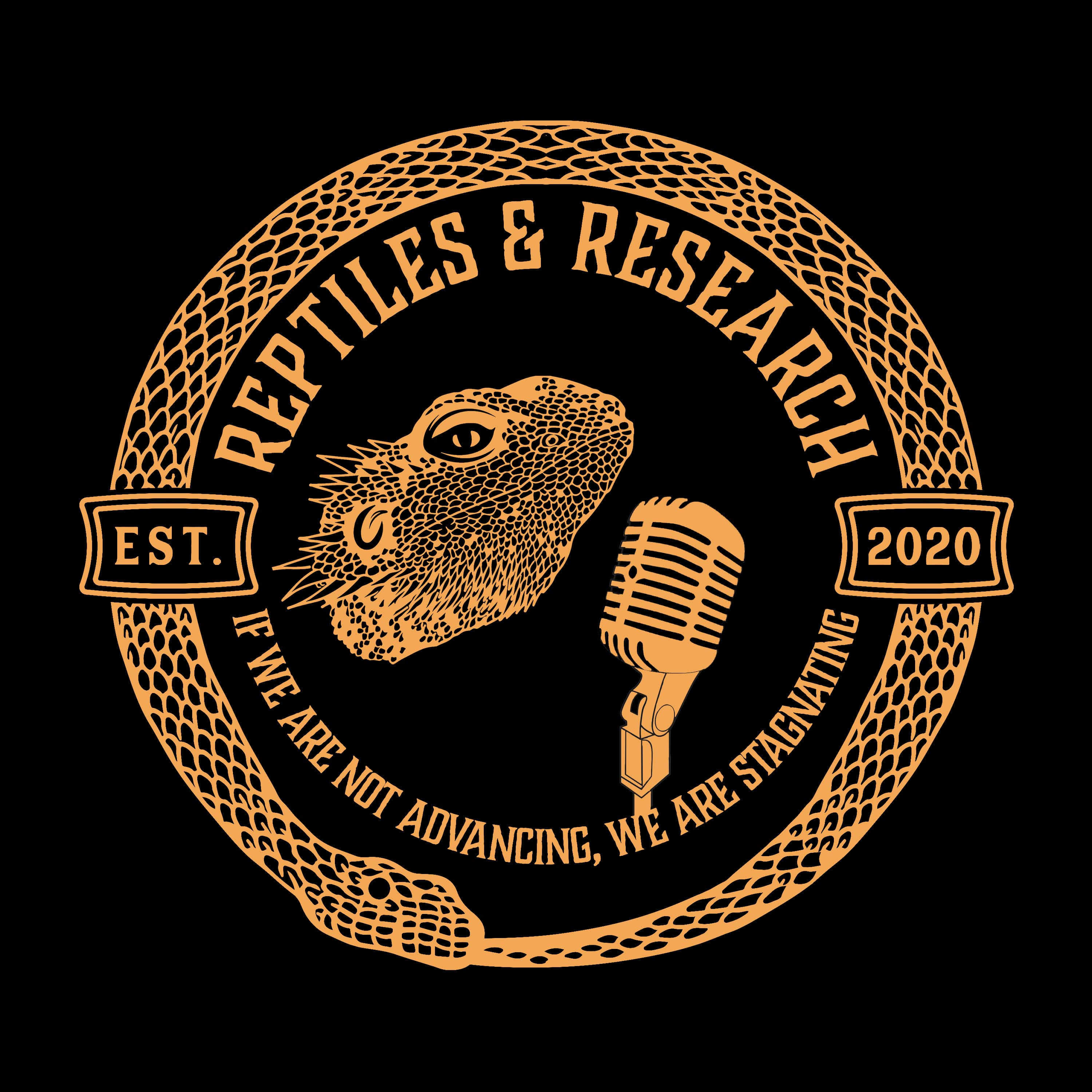 25: R&R What Happens When a Leopard Gecko gets an Entire Room? | Ayana Evans episode artwork