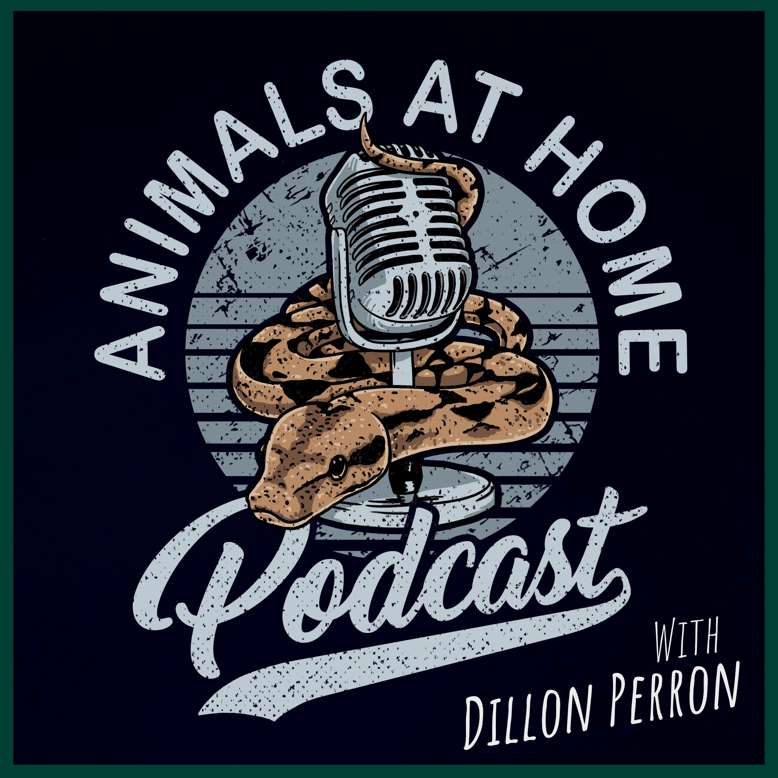 255: Why Designer Green Tree Pythons Are a Problem | Rain episode artwork