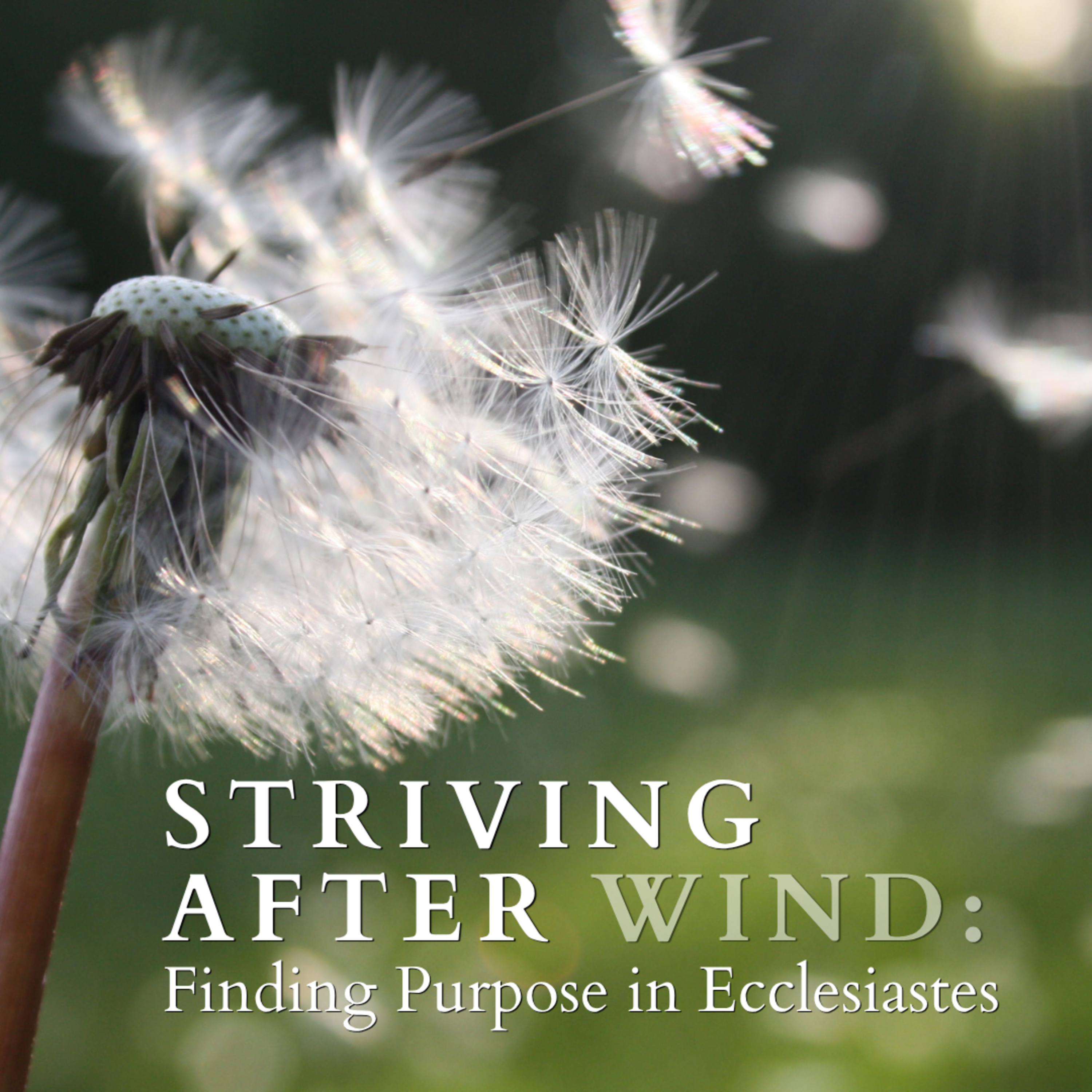 August 2, 2026: Disappointment - Ecclesiastes 7:15-29 episode artwork