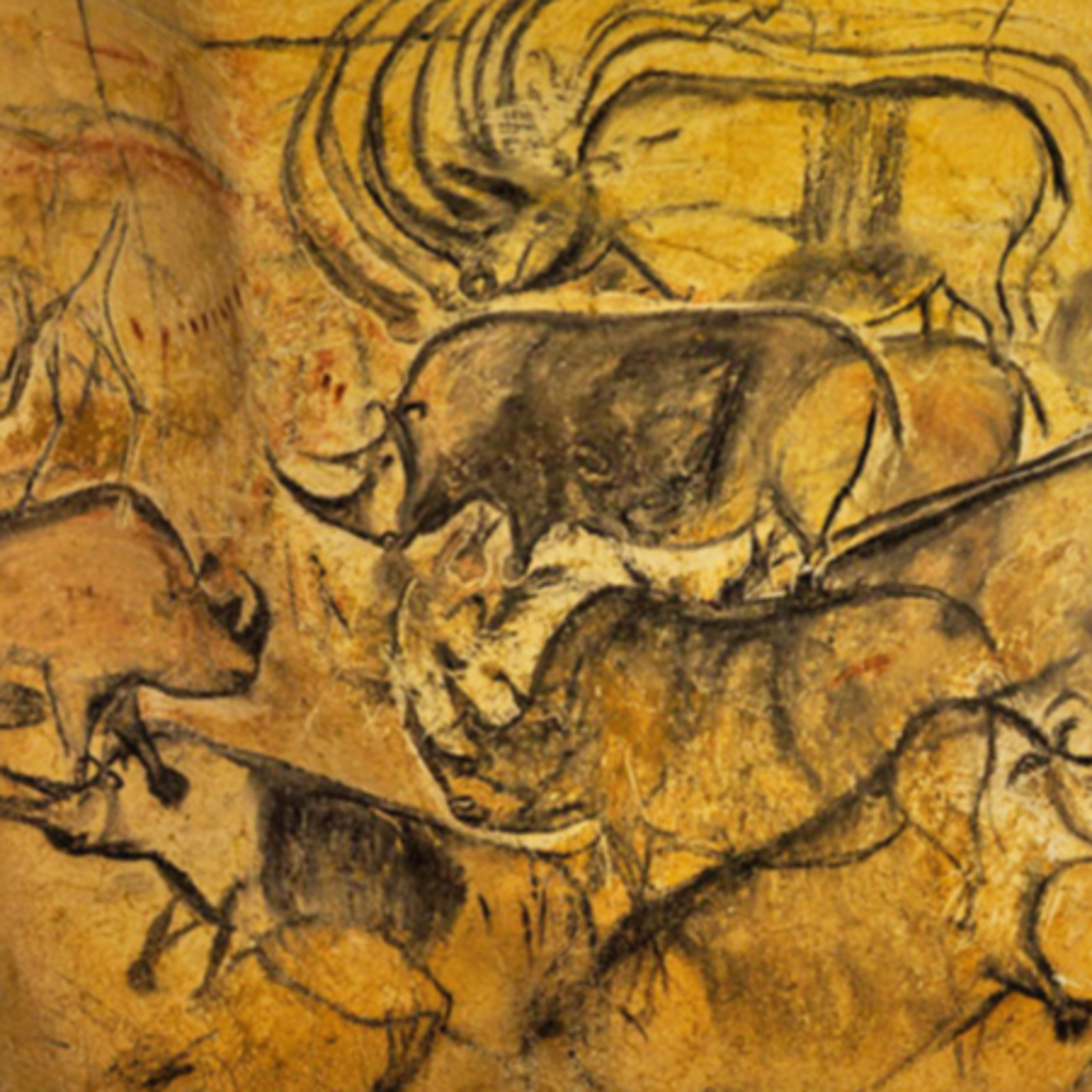 #47 - Chauvet cave (40,000 old art) episode artwork