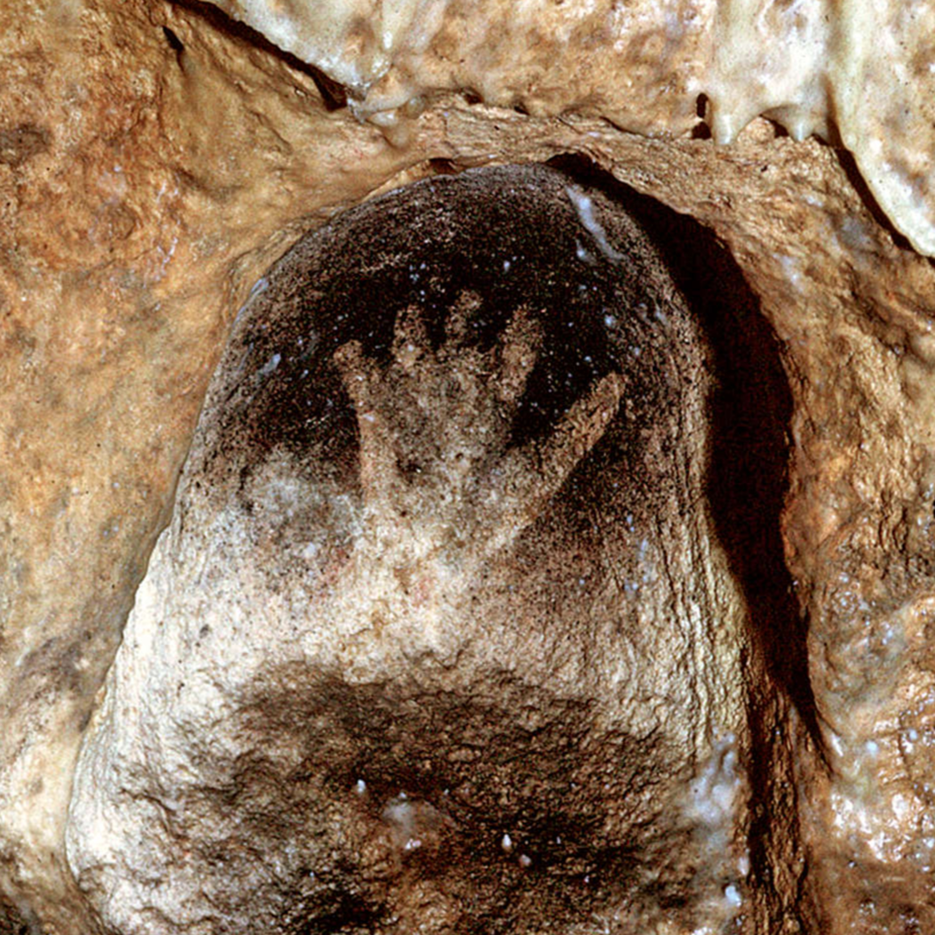 #60- Caves of Gargas (The mystery hands) episode artwork