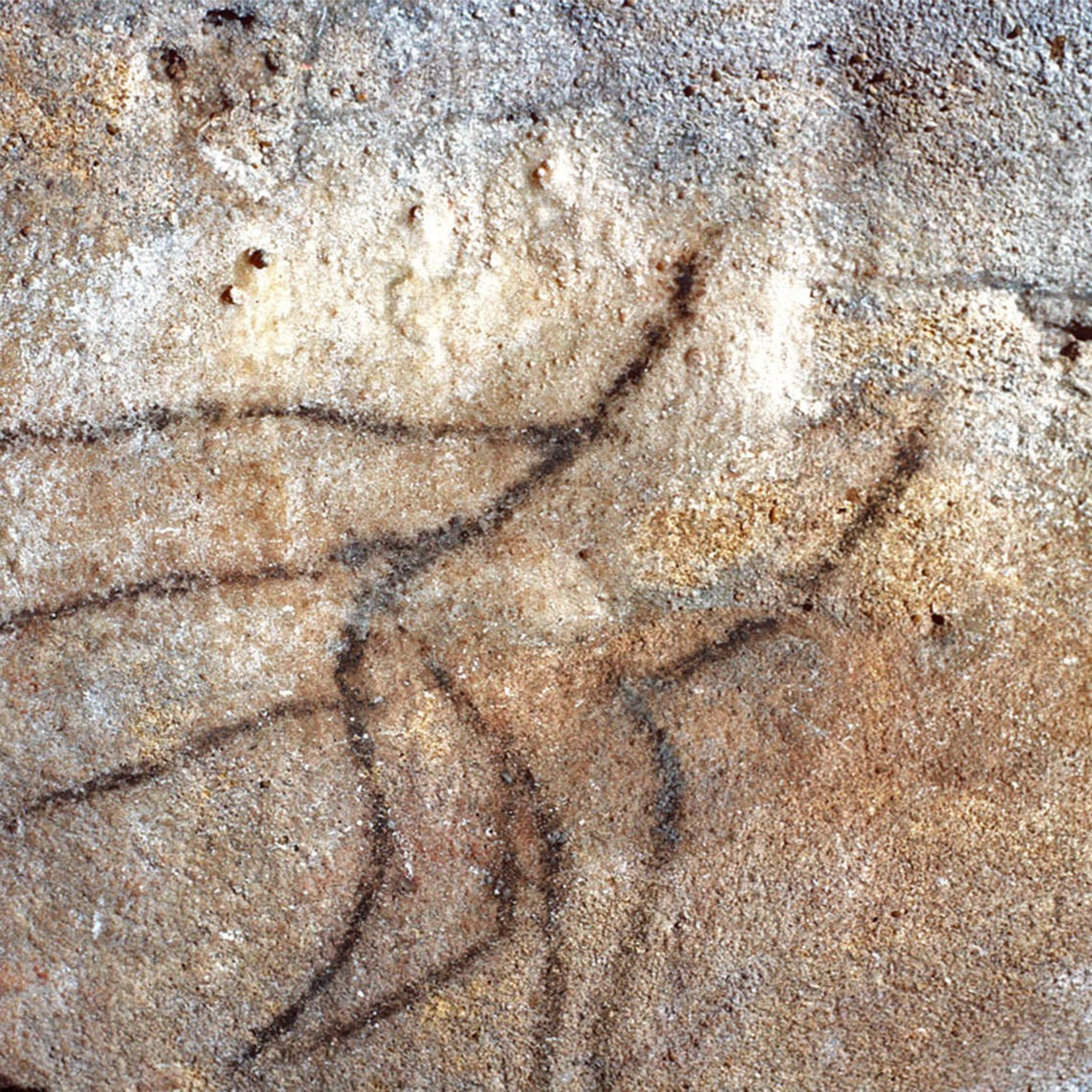 #81 - Cougnac cave (Spears, Silence, and a 14,000-Year-Old Murder) episode artwork
