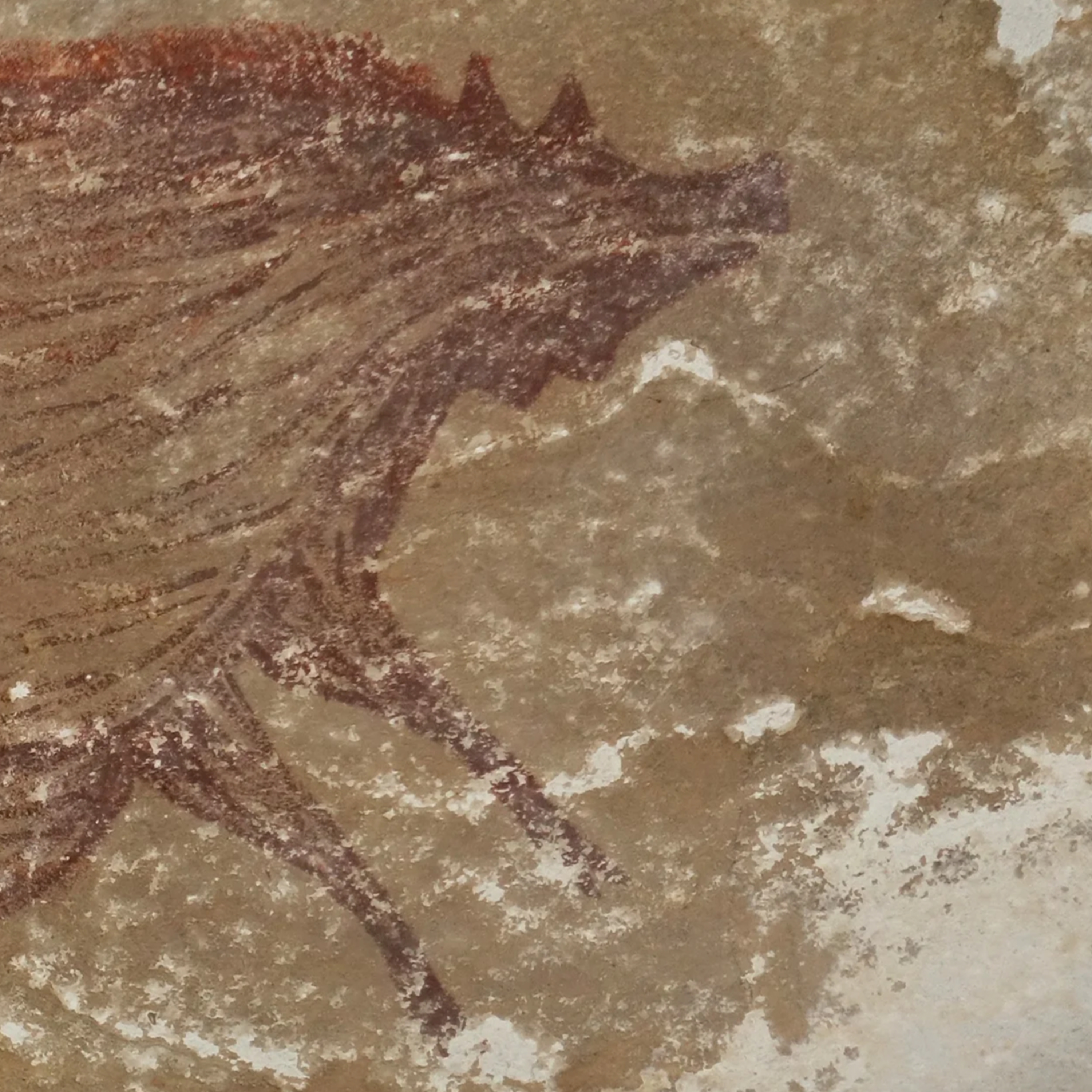 #101 - Sulawesi rock art episode artwork