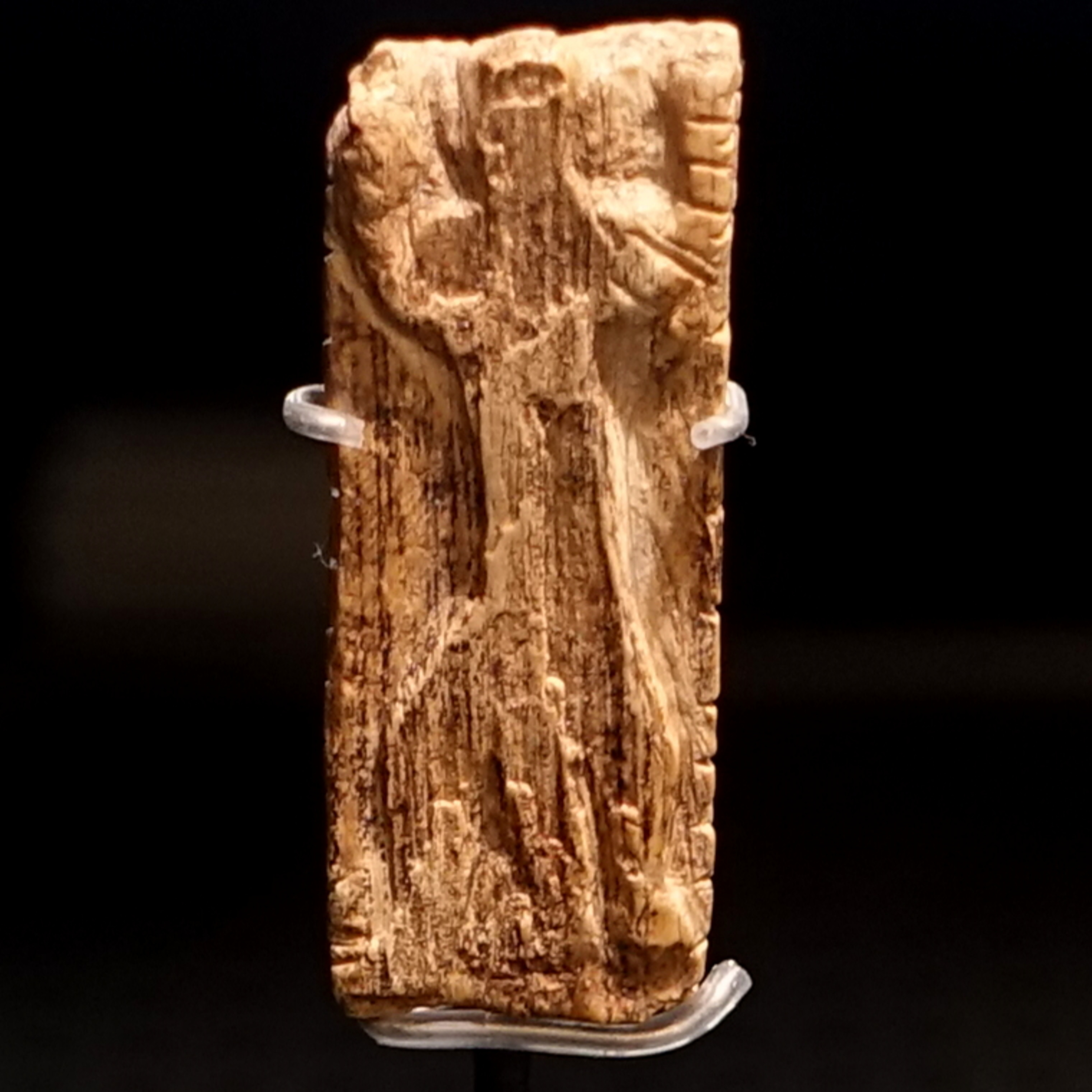 #116 - Geißenklösterle ivory plaque (World’s oldest calendar?) episode artwork