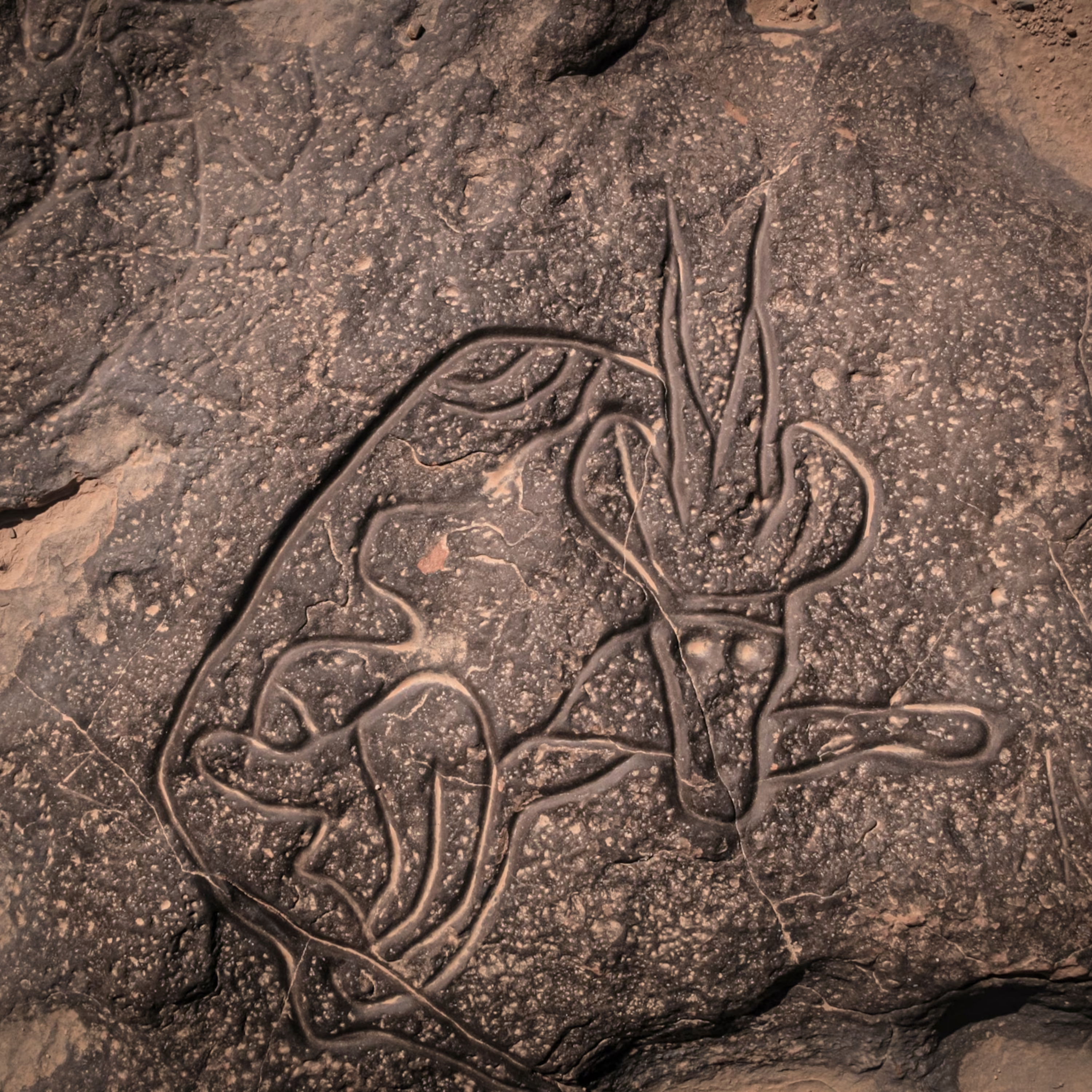 #127 - Tassili n'Ajjer (When Sahara was green) episode artwork