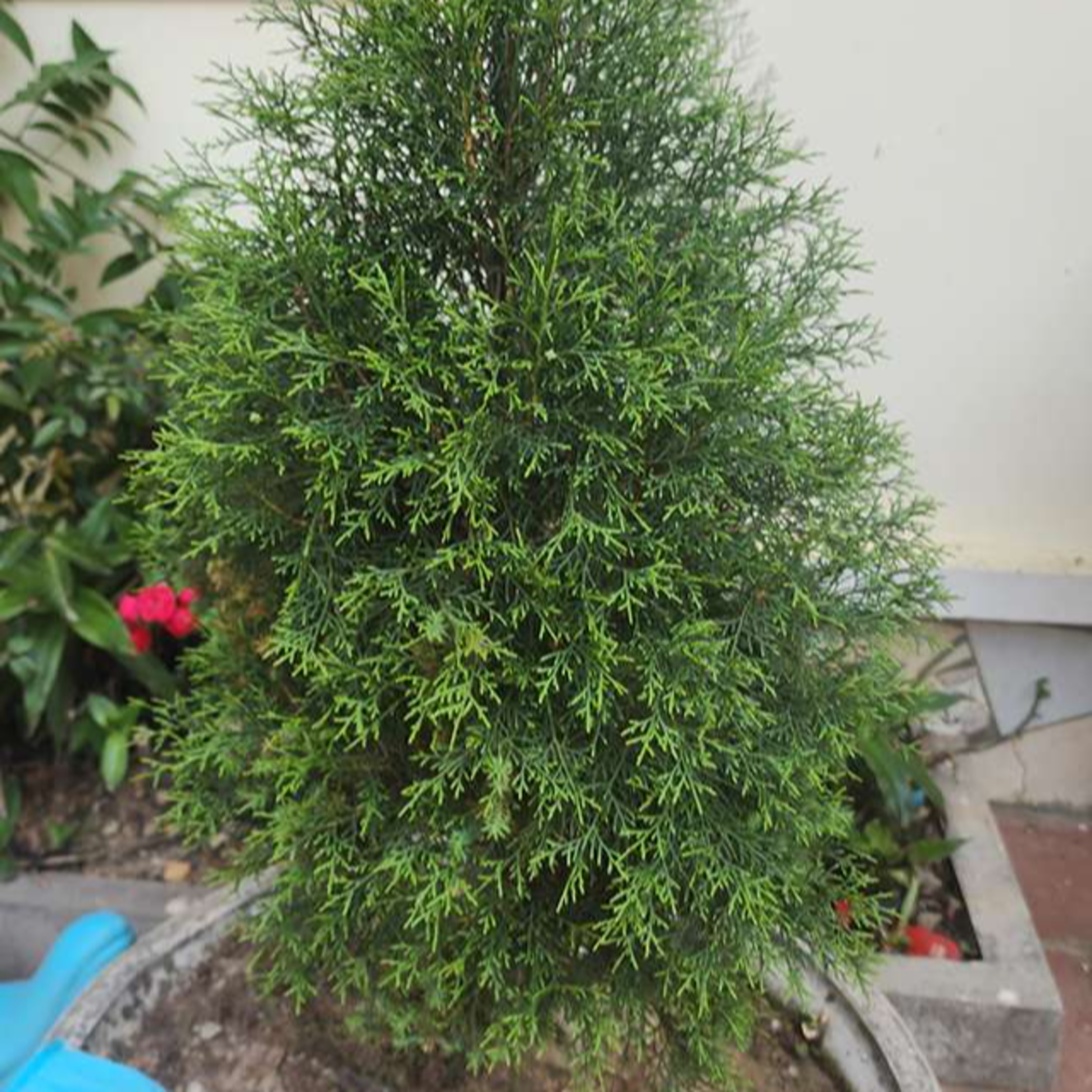 Vườn Mặt Trời