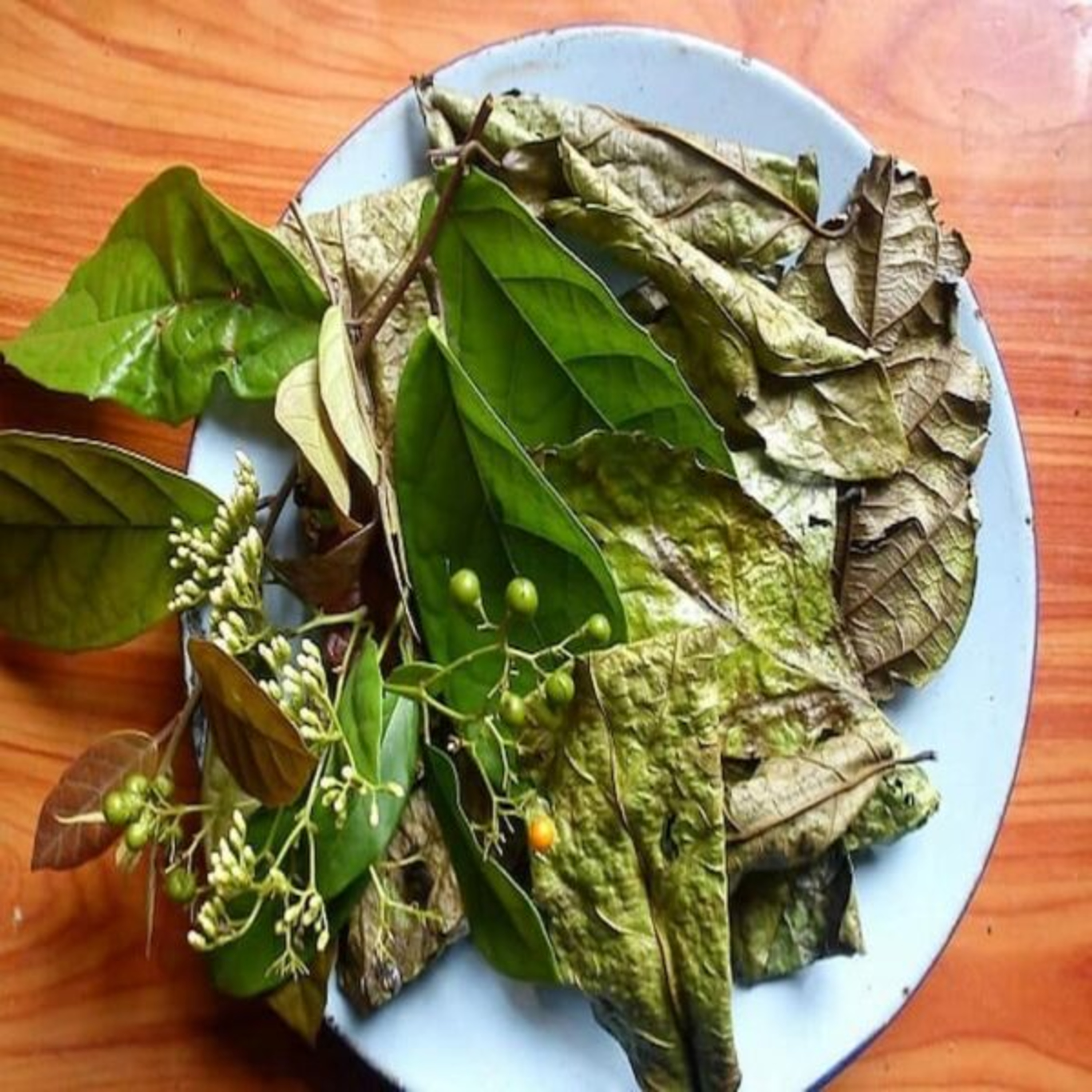 Vườn Mặt Trời