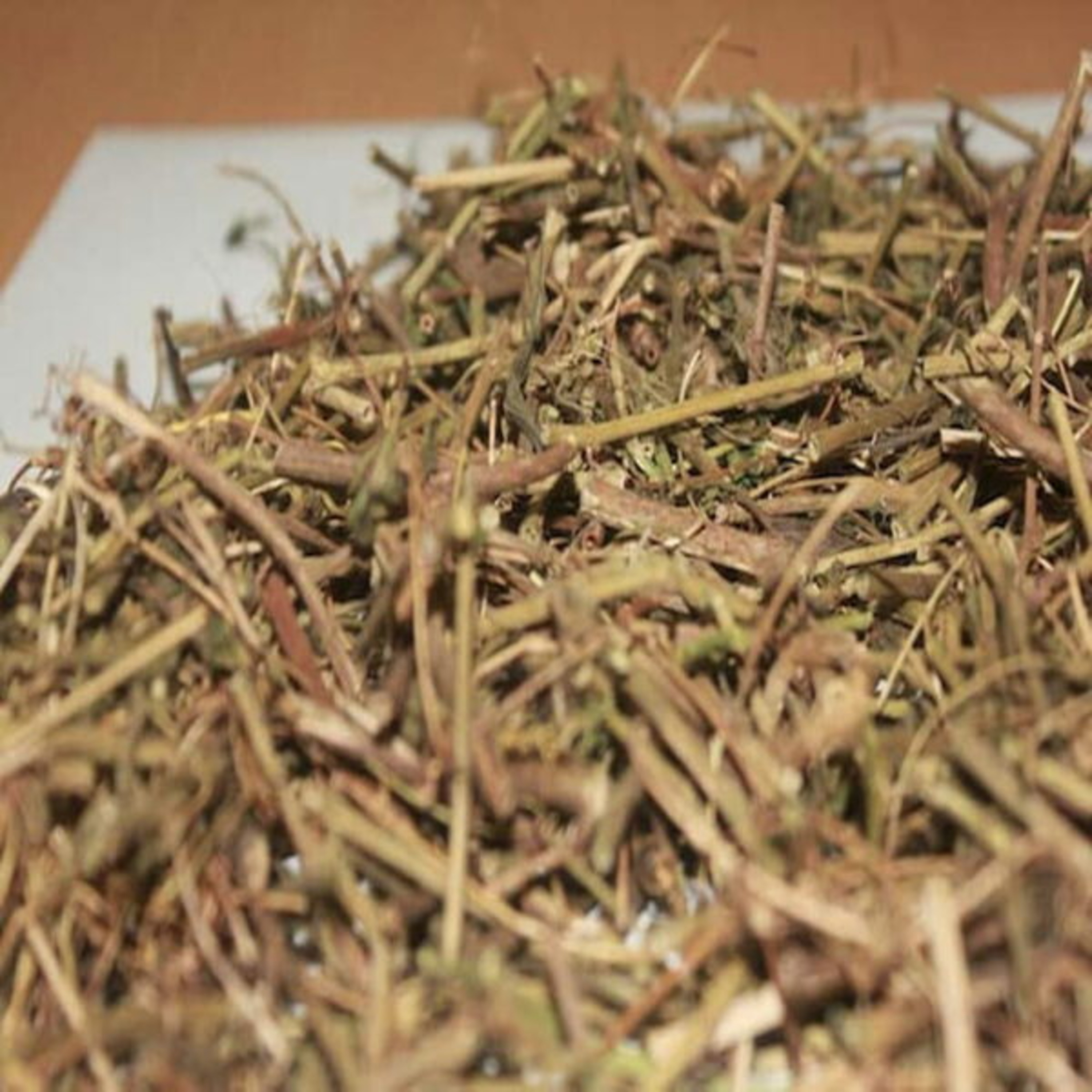 Vườn Mặt Trời