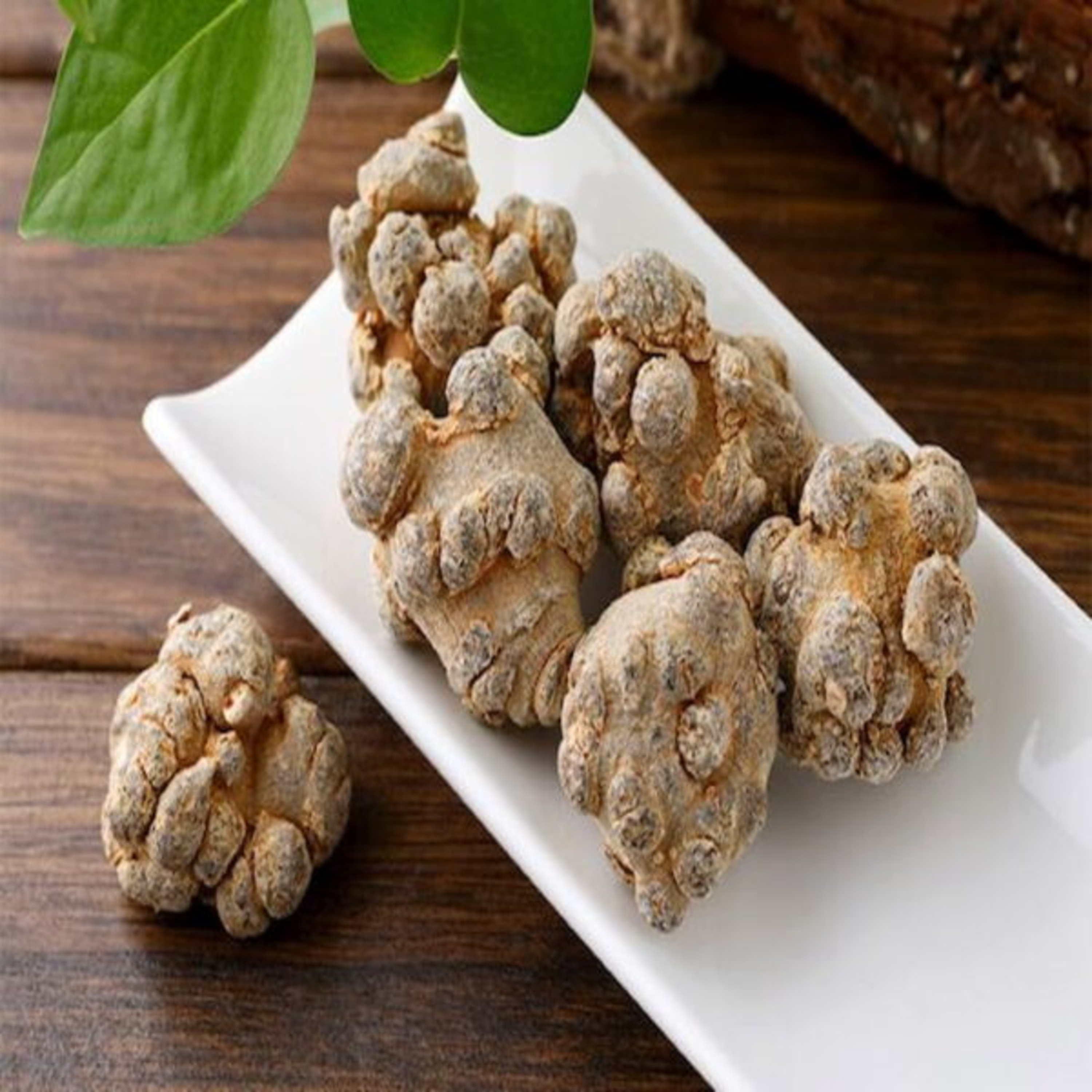 Vườn Mặt Trời