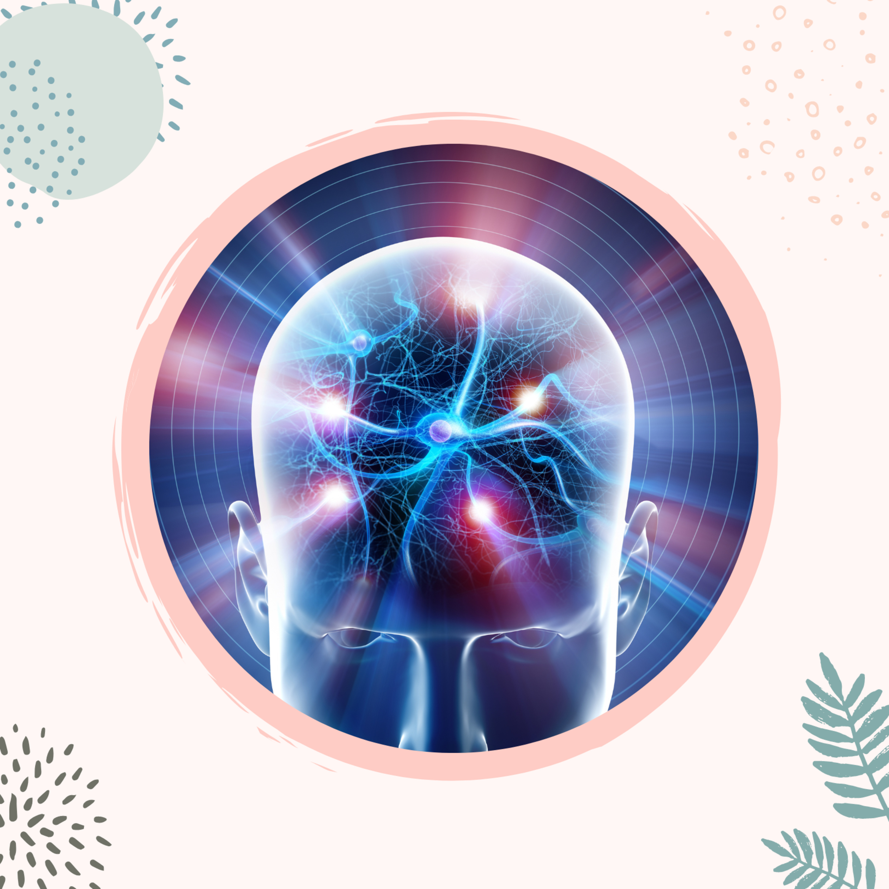 Whole Life Vitality