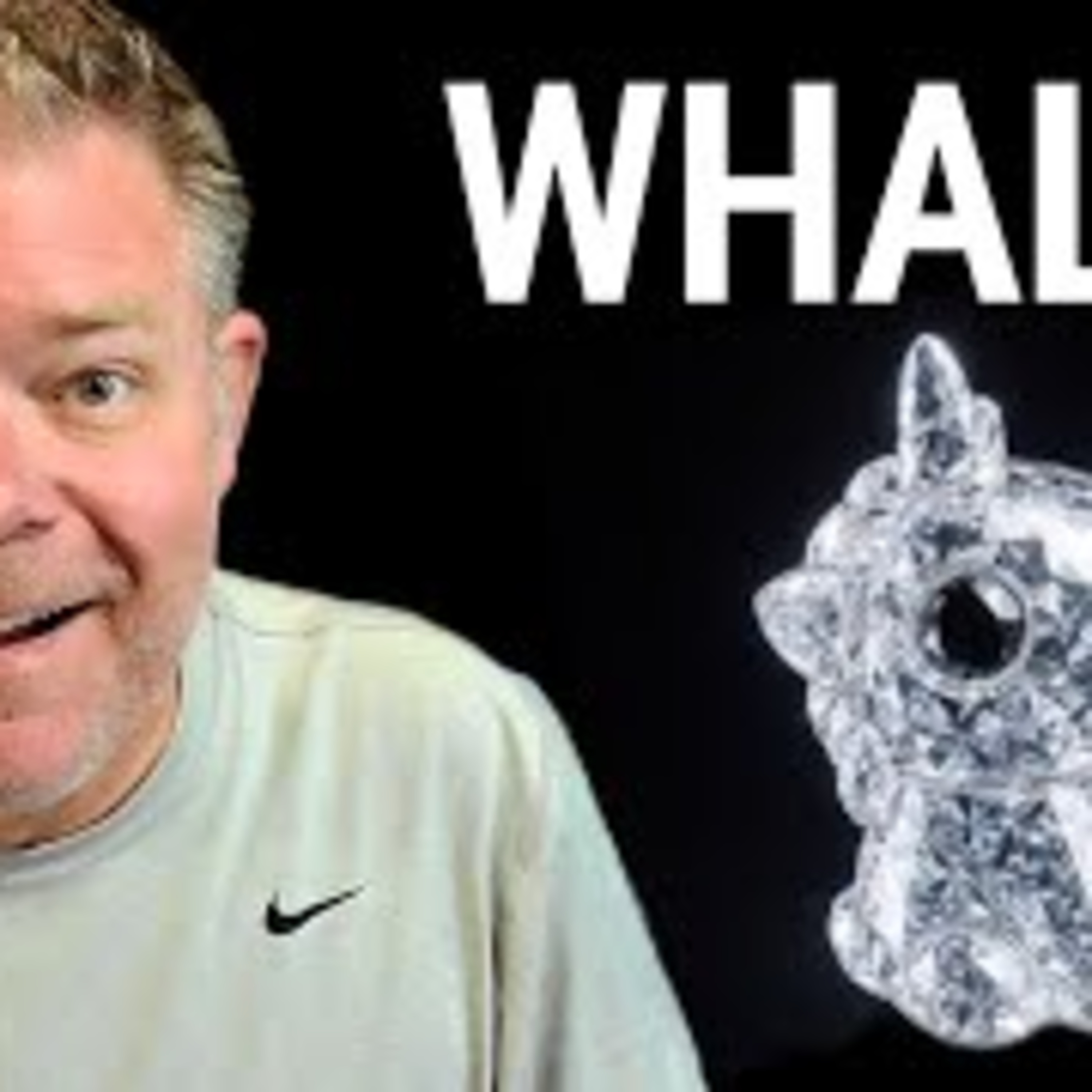 Whales Keep Buying THIS Meme Coin 🐋 | Organic, Grassroots, Unstoppable!