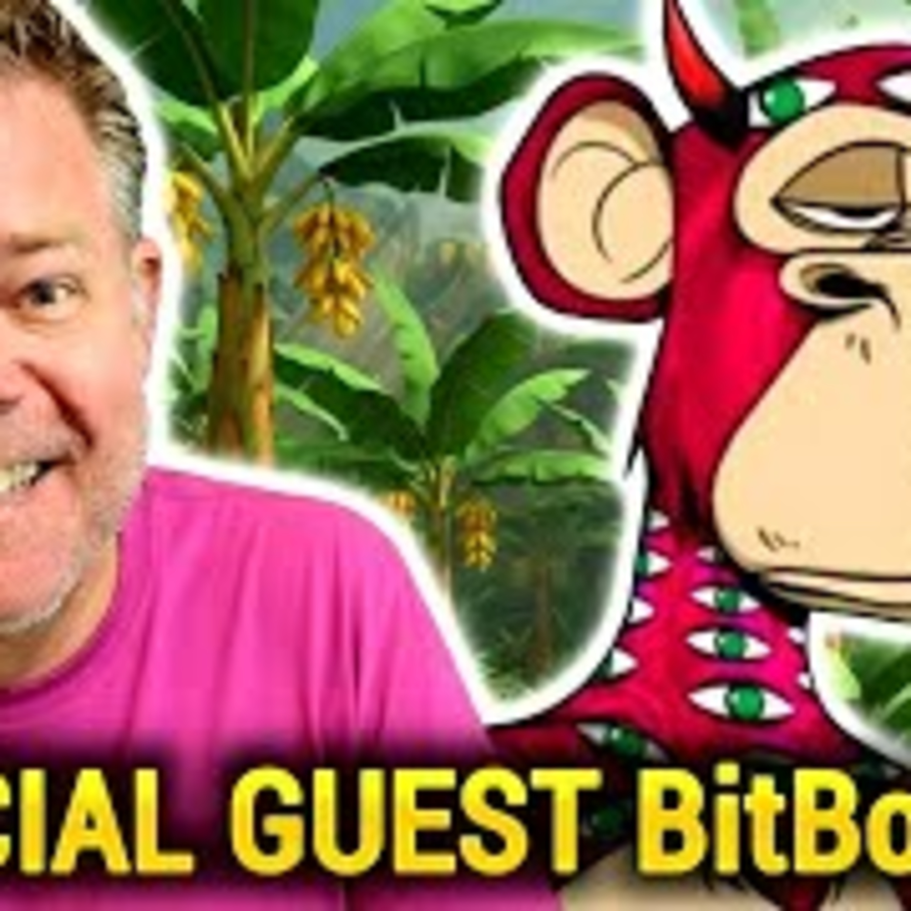 SPECIAL GUEST "BitBoyJay" 🍌🍌 Keen CRYPTO Insight + $UFD