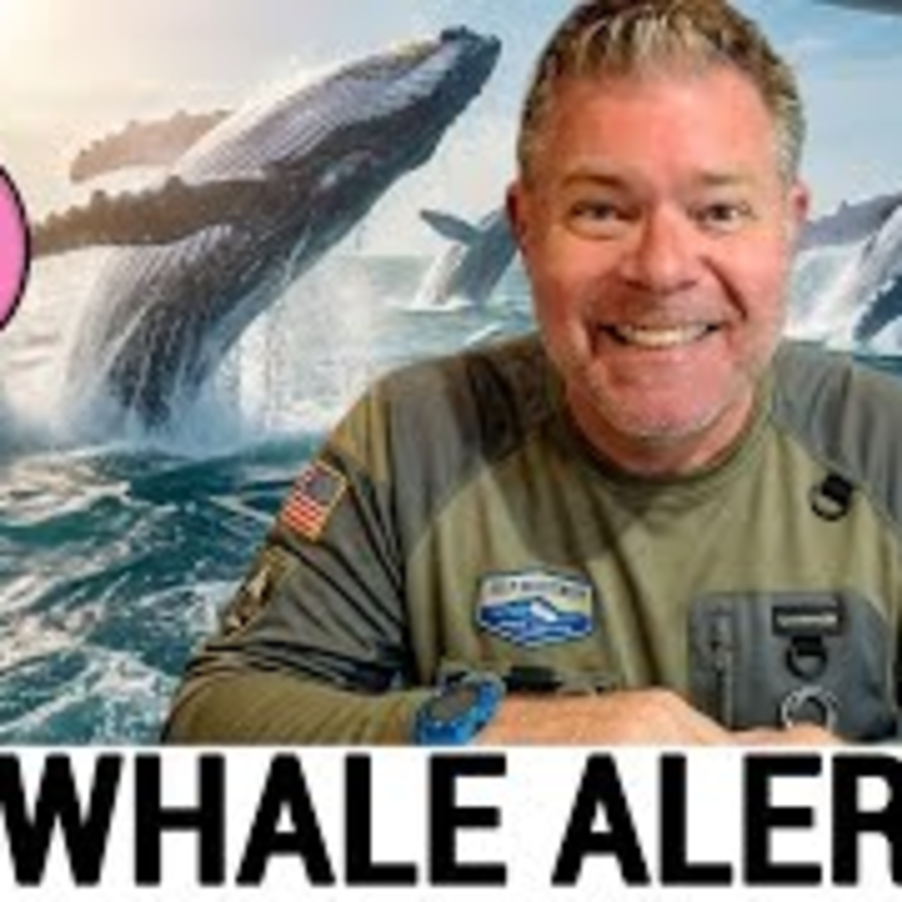Do WE Have a NEW Whale 🐋 - ($UFD Narwhal)