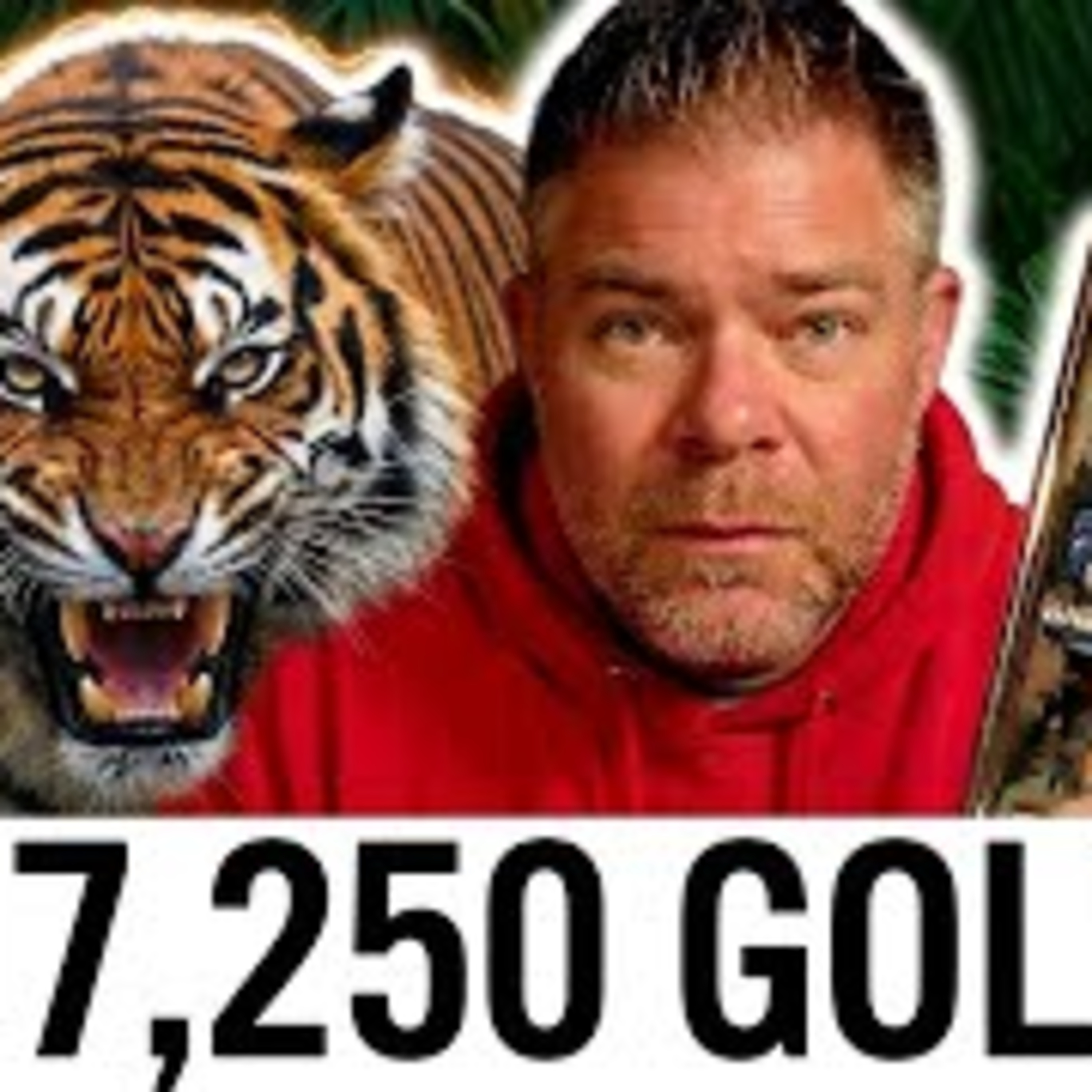 **ALERT!** 🦍🦍- SILVER & Gold Just had a MASSIVE Change... (Iran, AI, Solar, CNBC & More News too!)