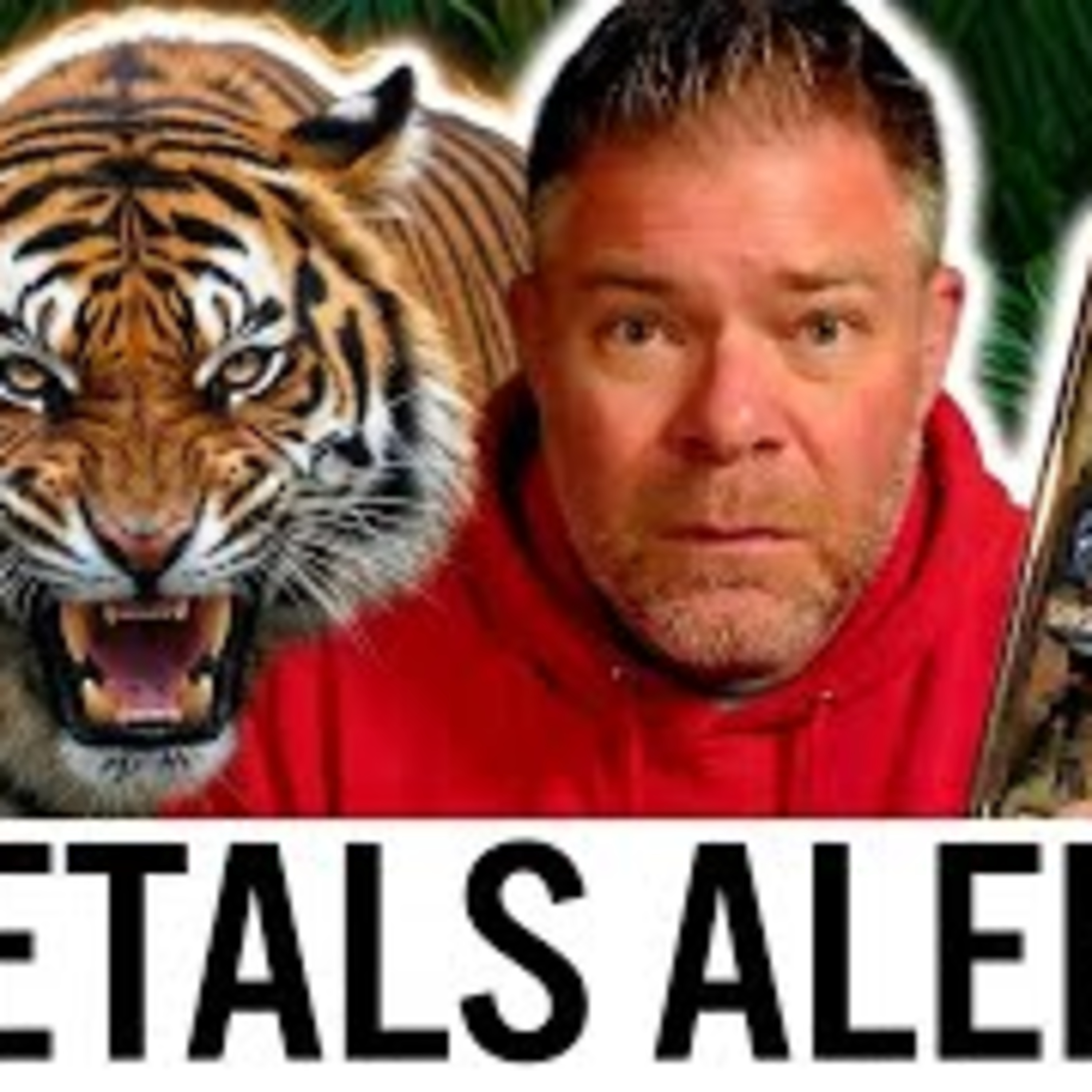 **THIS is BIG!** 🦍🦍 SILVER Just had a MAJOR Change... (PRICE!) Gold - Precious Metals News