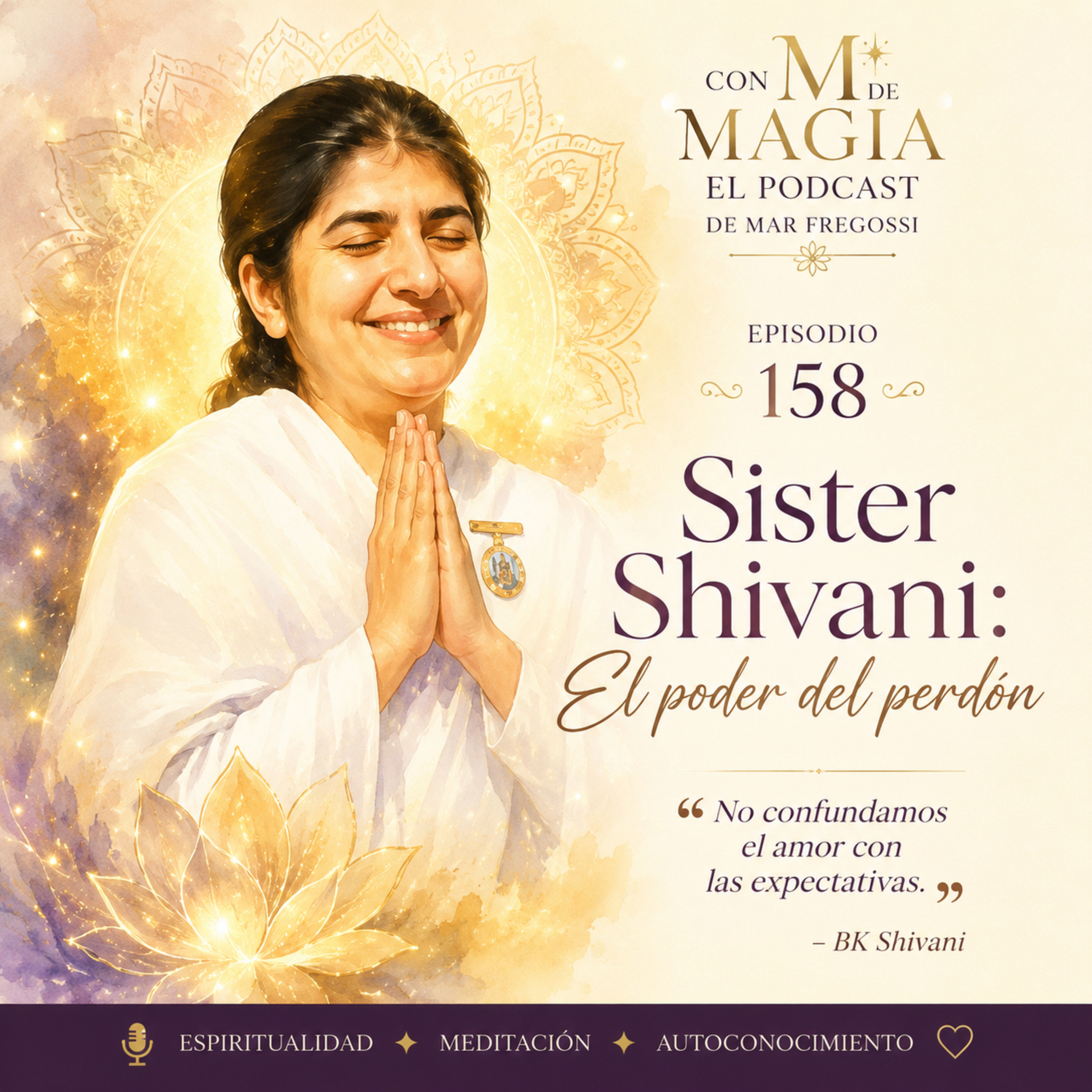 Sister Shivani : El Poder del Perdón episode artwork