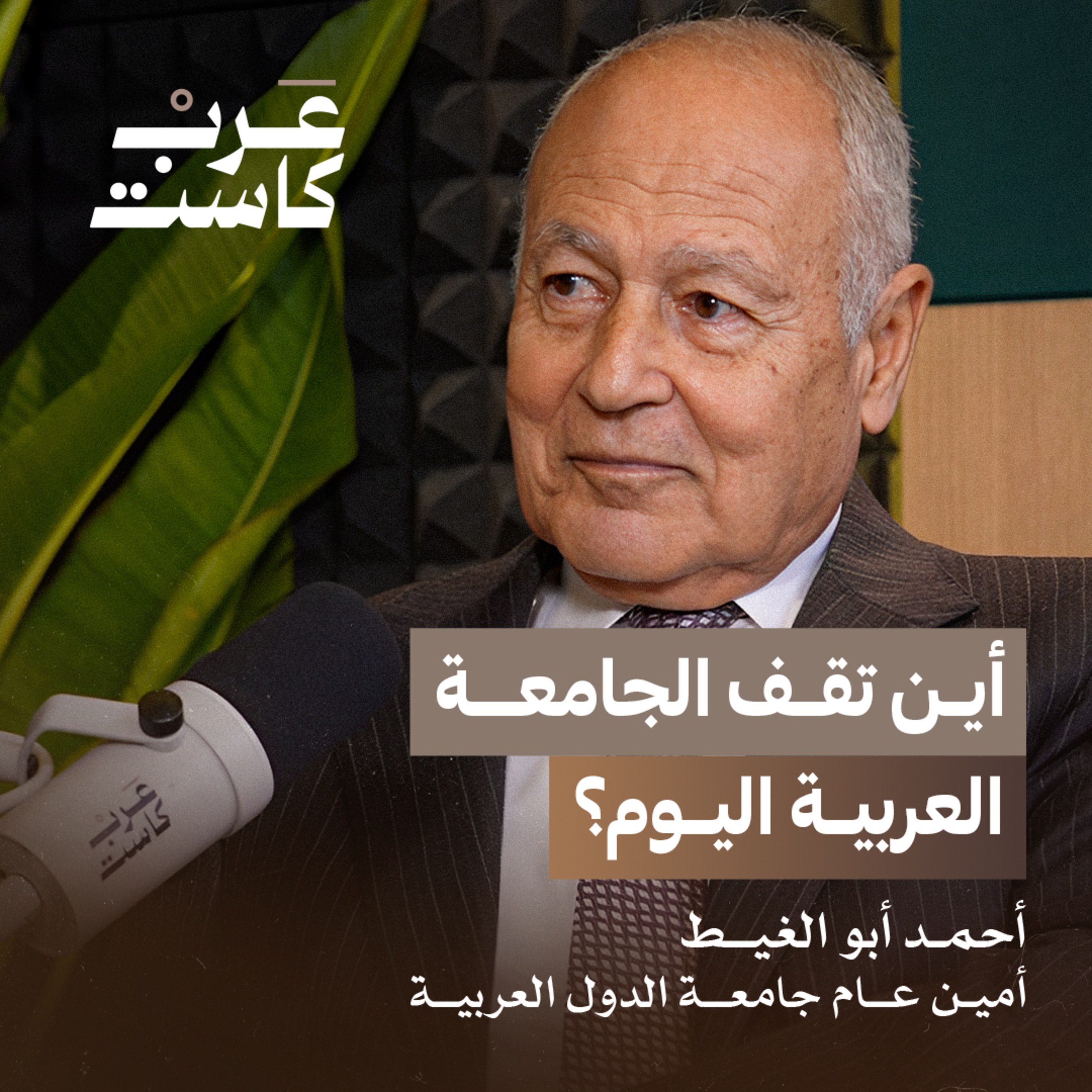 ما الذي تبقى من الجامعة العربية؟ | أحمد أبو الغيط في بودكاست قصص episode artwork