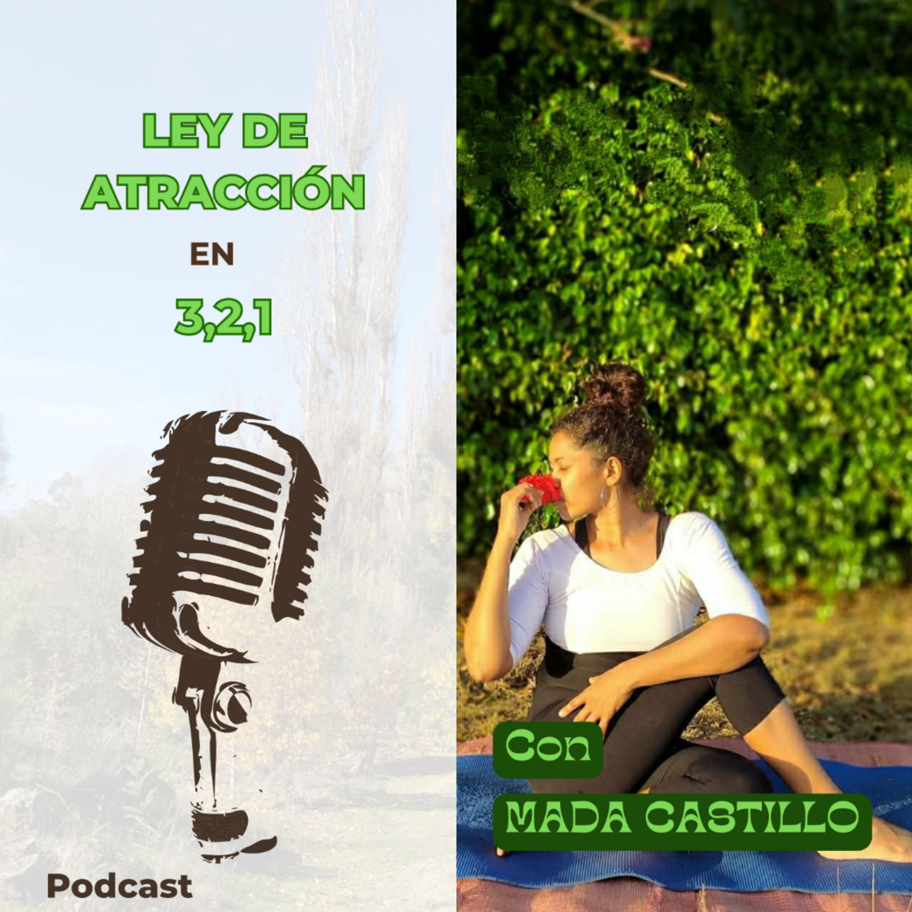 Ley de atracción en 3,2,1 episode artwork