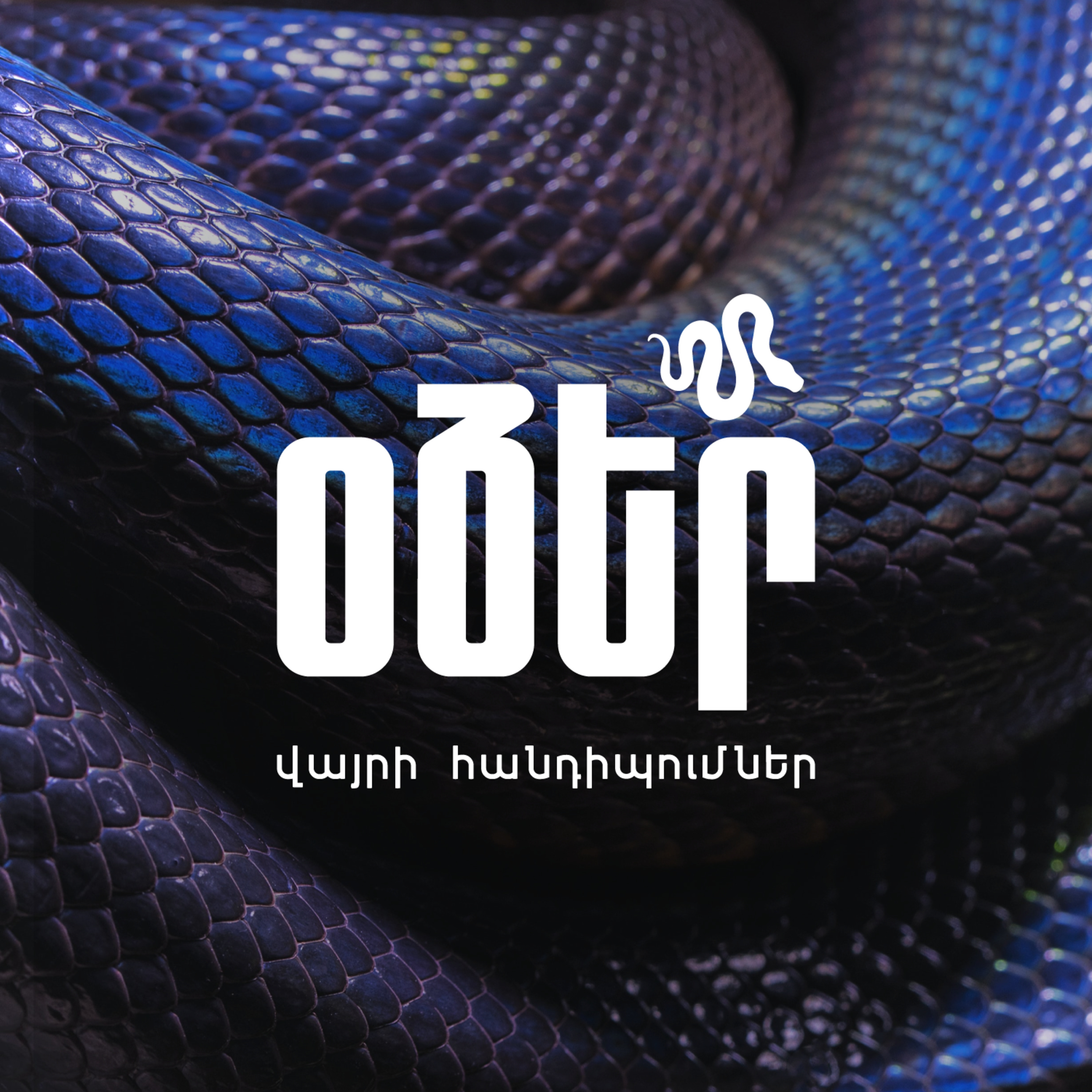 Մենք օձերին լավ չենք հասկանում episode artwork