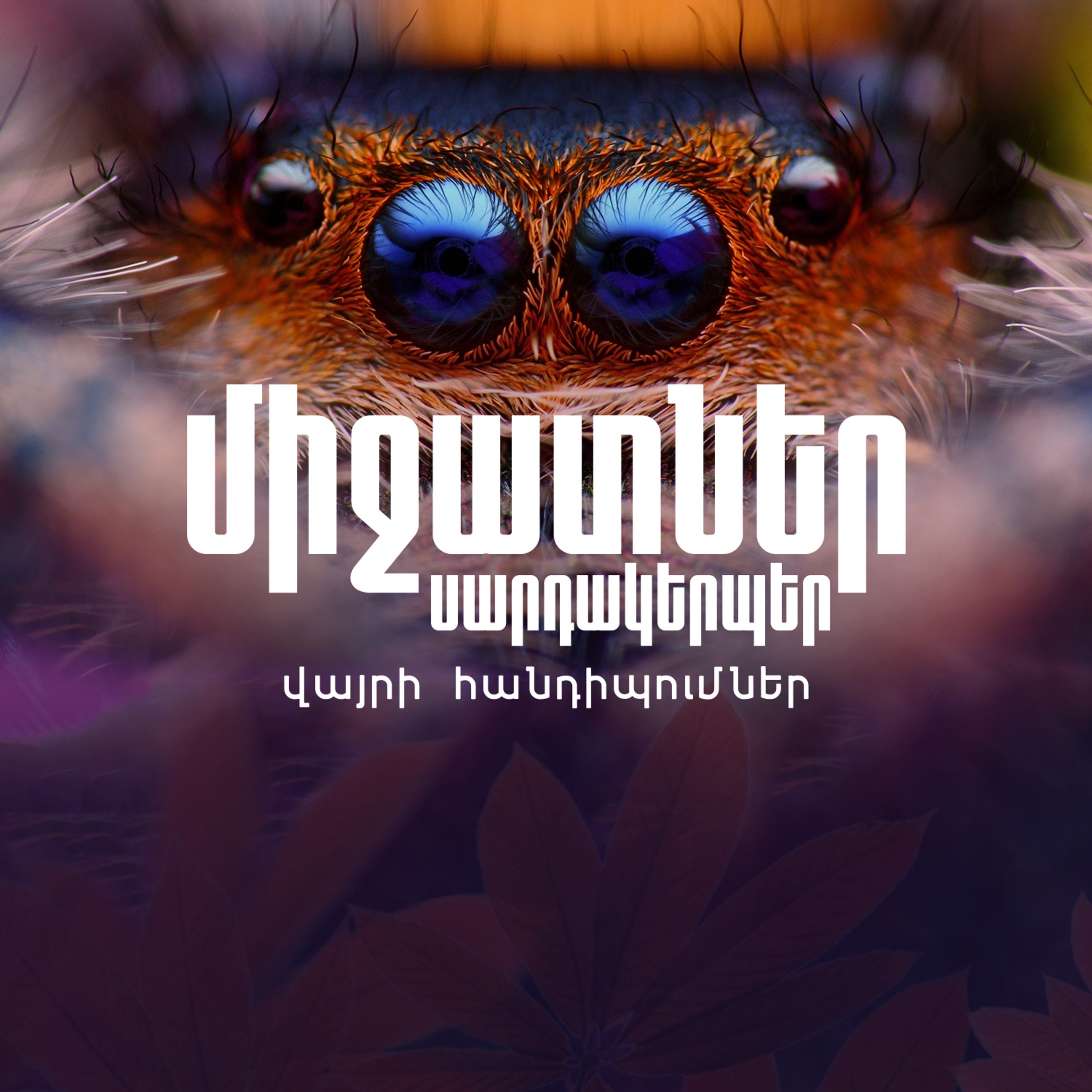 Փոքր միջատների մեծ դերը episode artwork