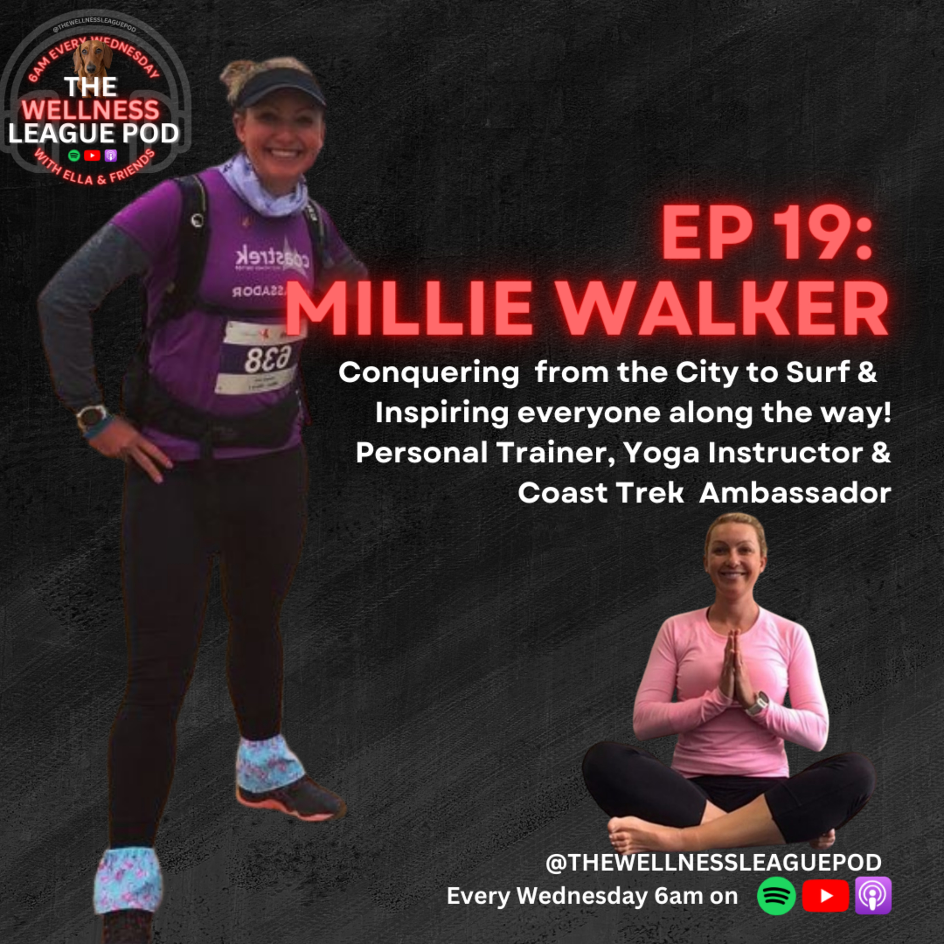 The Wellness League Pod