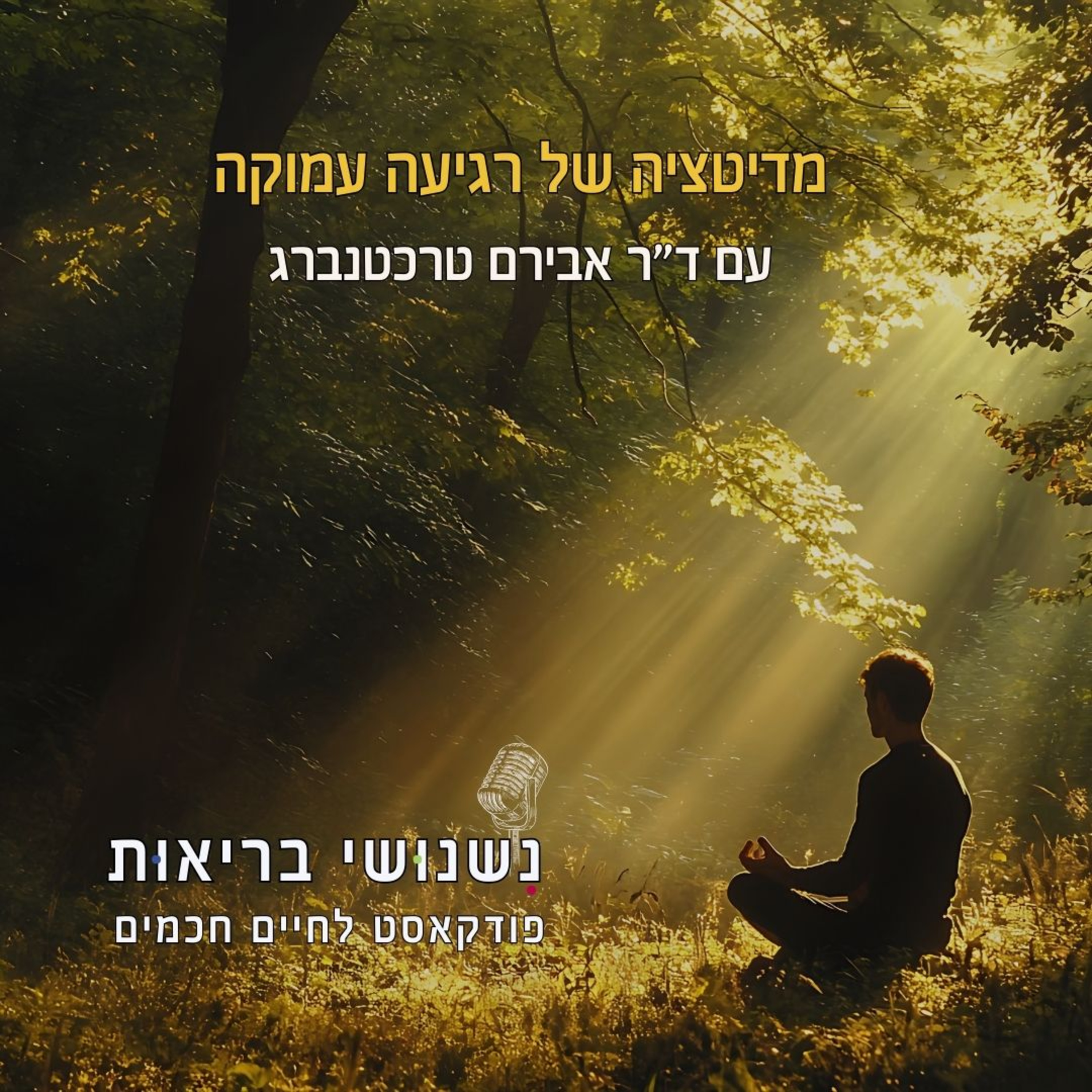 פרק 117 - מדיטציה של רגיעה עמוקה episode artwork