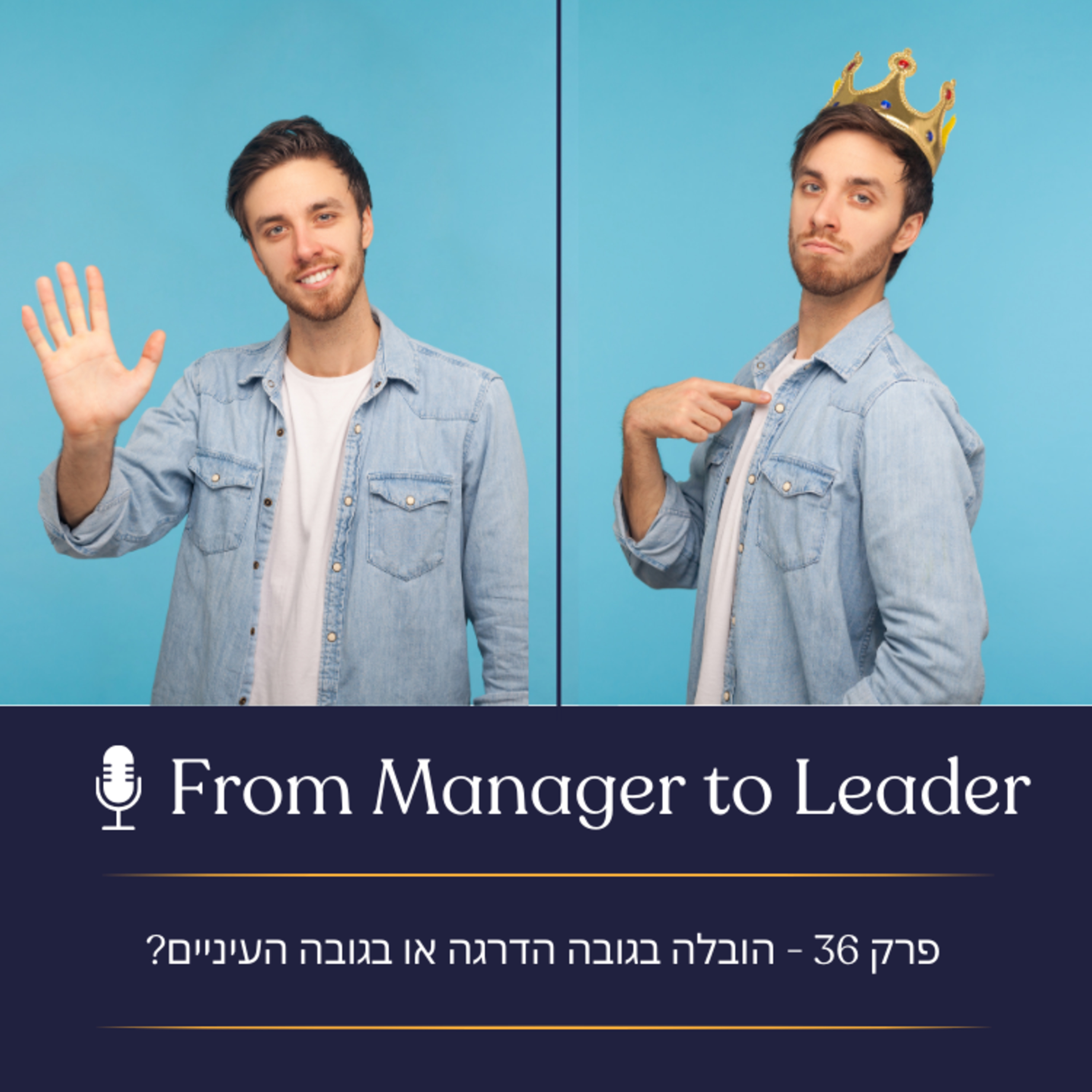 פרק 36 - הובלה בגובה הדרגה או בגובה העיניים?