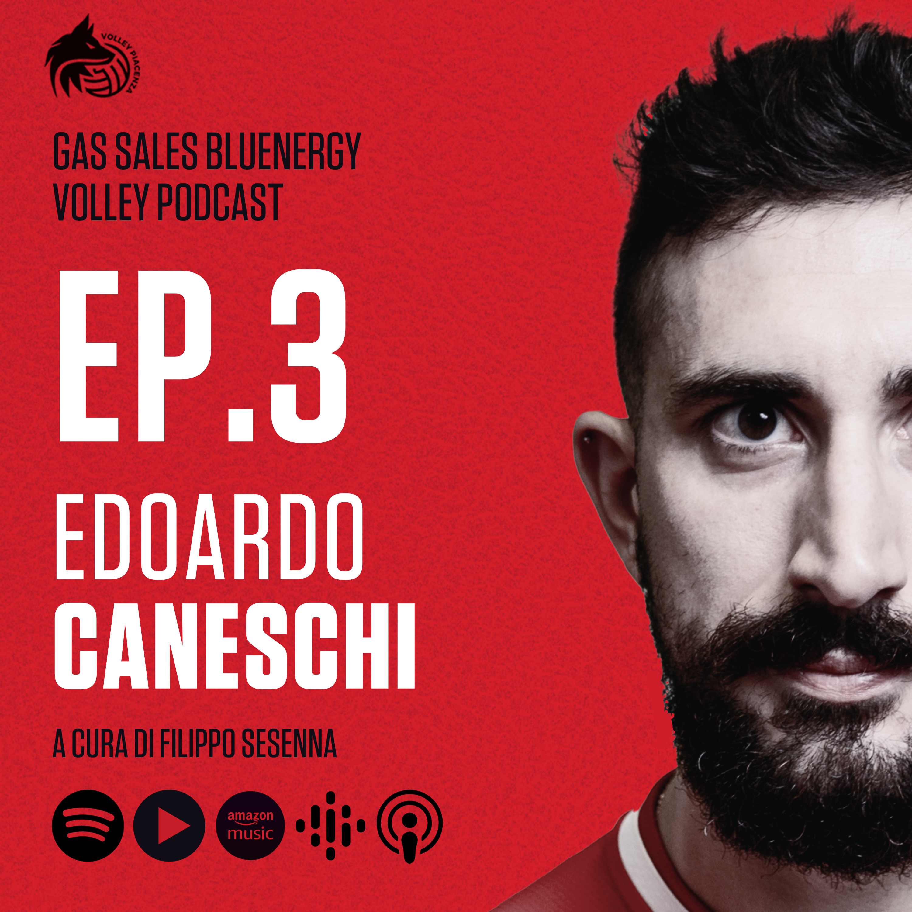 Gas Sales Bluenergy Volley Podcast