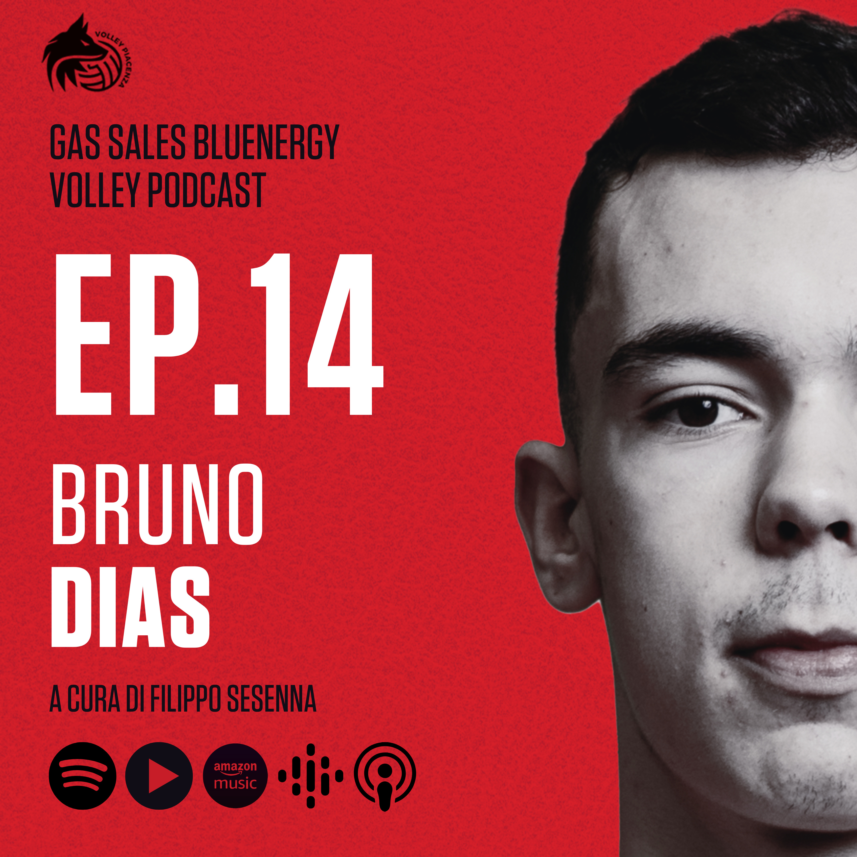 Gas Sales Bluenergy Volley Podcast