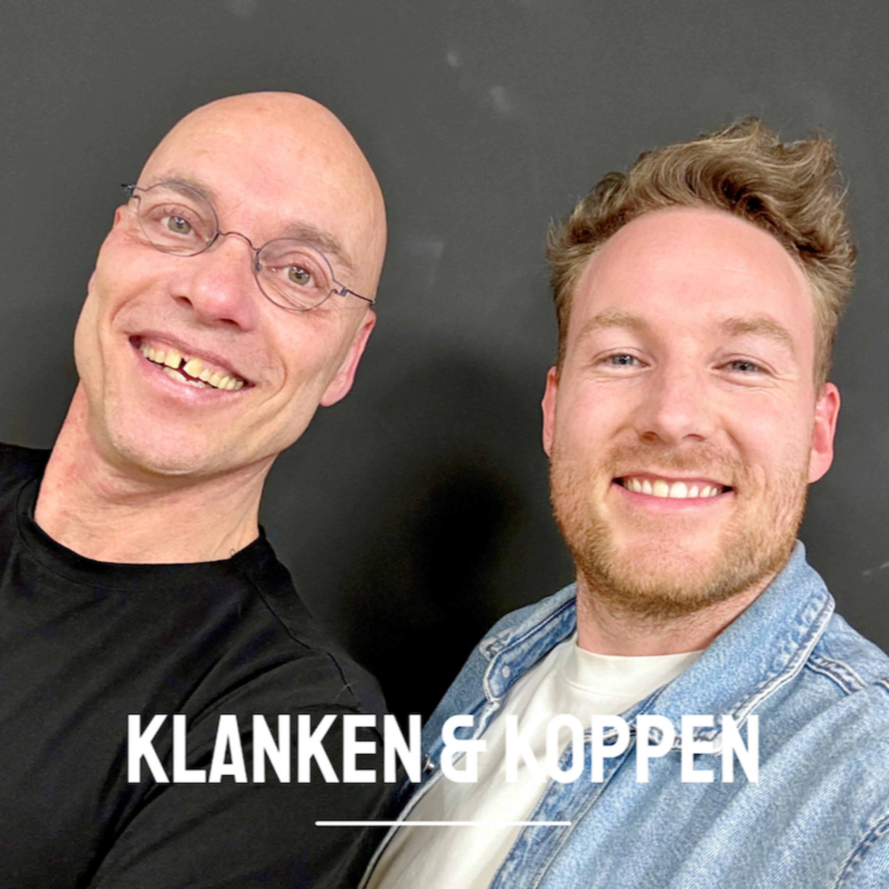 Theatermaker Hans Goes: "Een halfjaar lang was ik een top 10-artiest." episode artwork