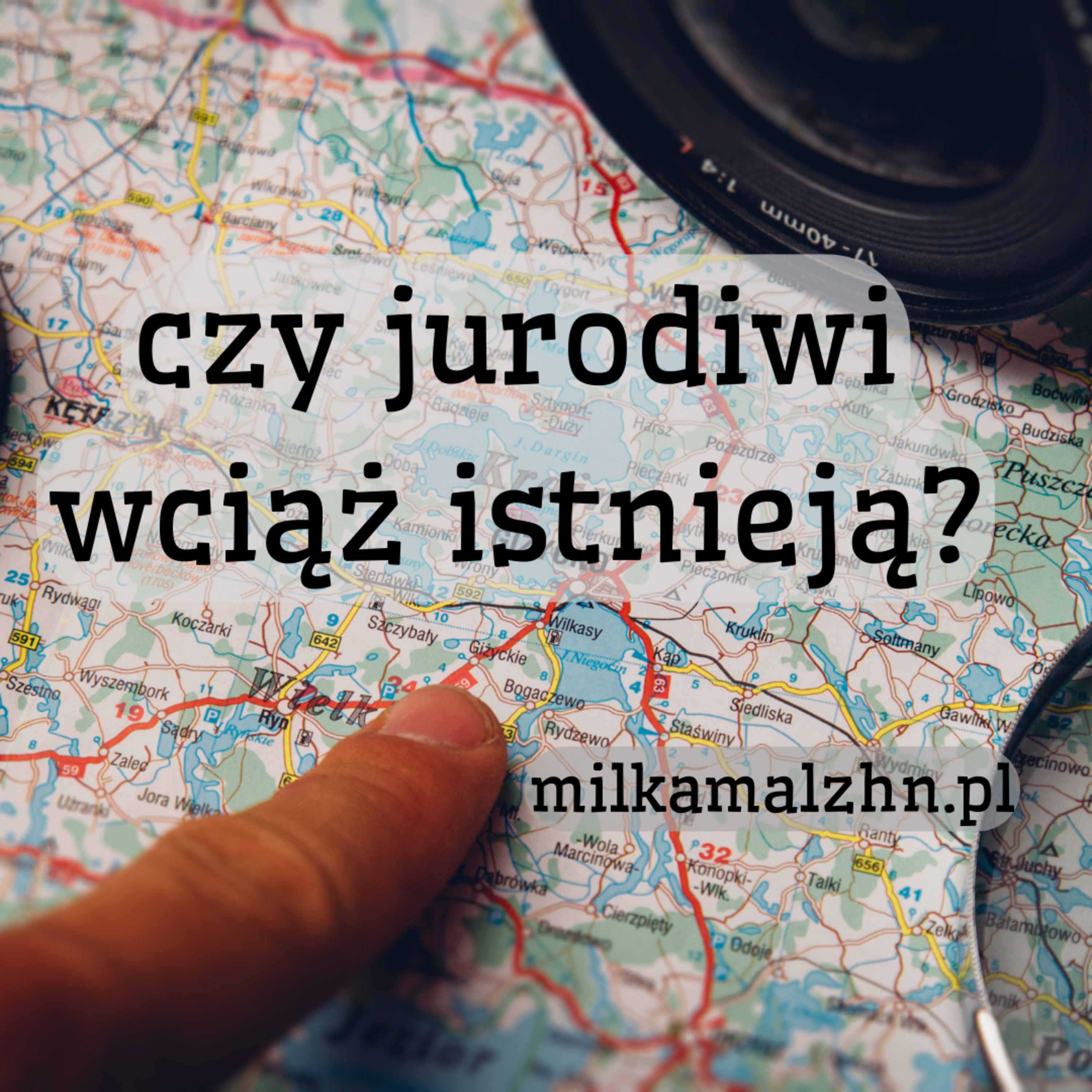 Dziennik Zmian — Miłka O. Malzahn