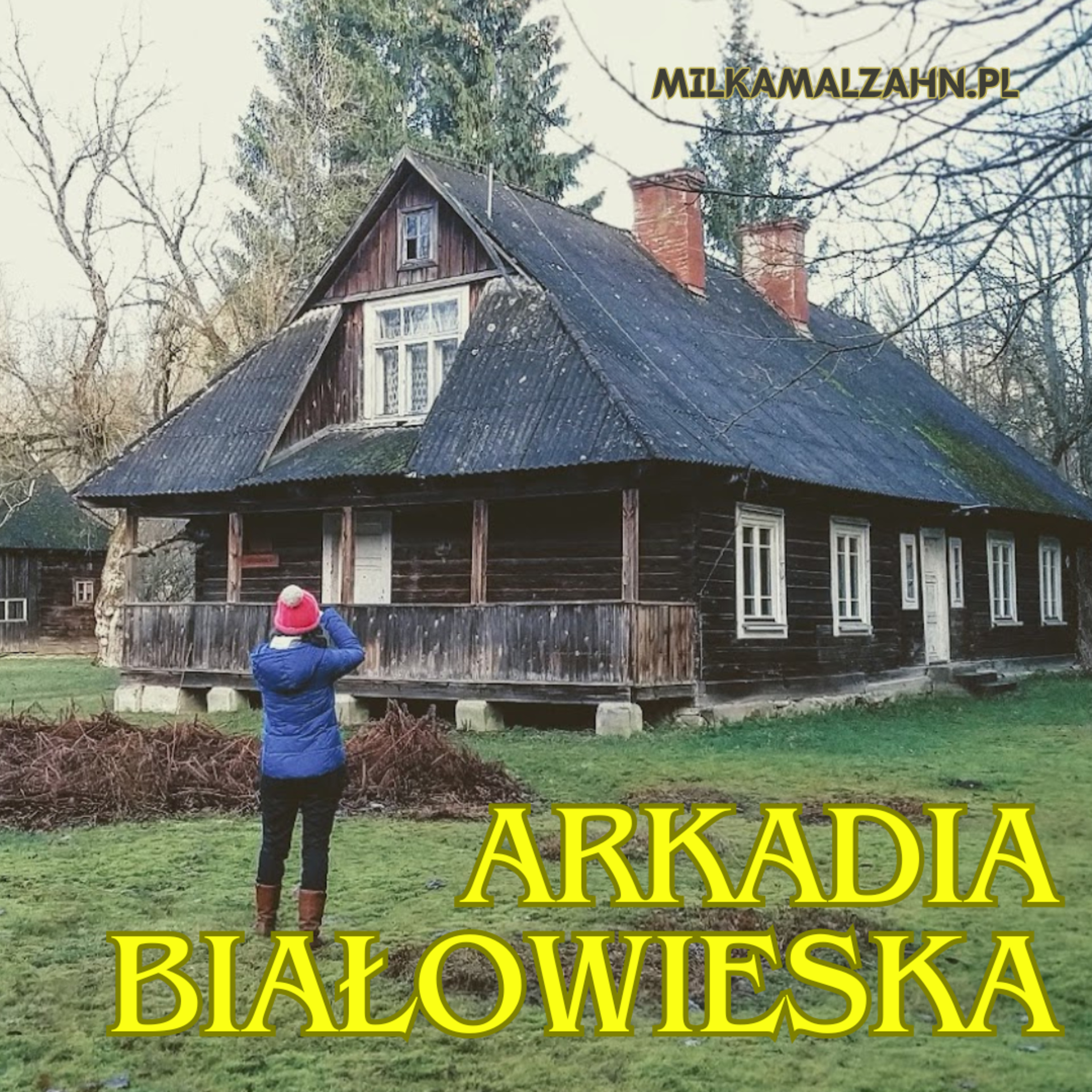 Dziennik Zmian — Miłka O. Malzahn