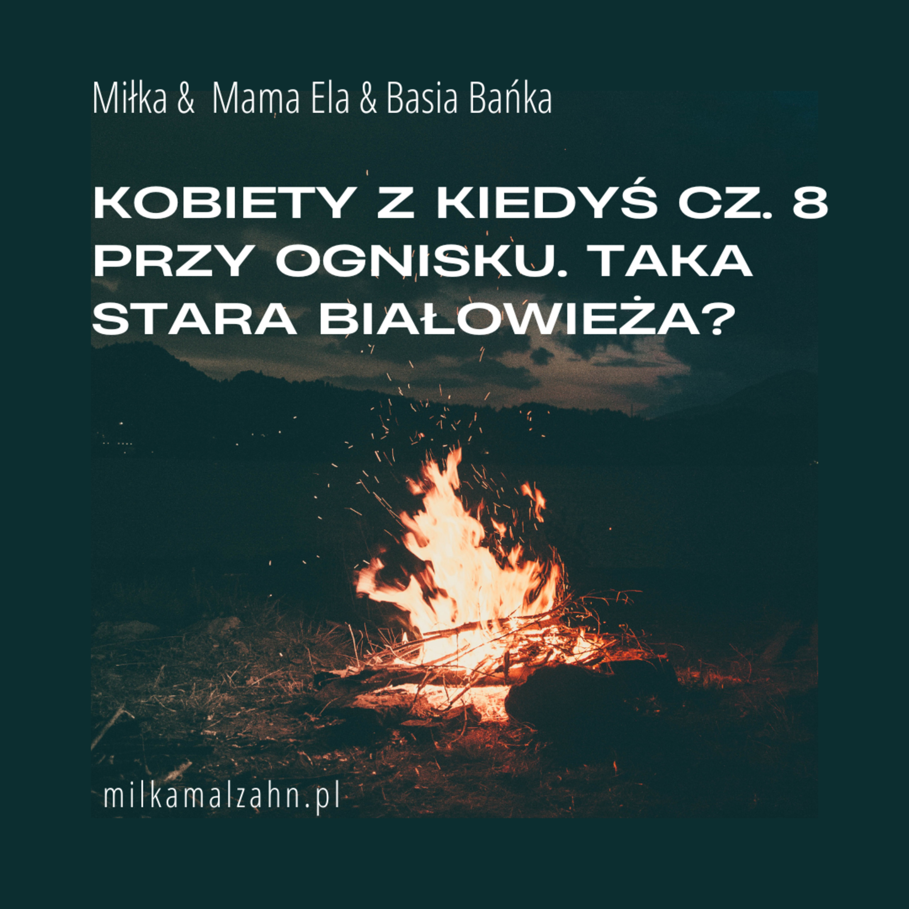 Dziennik Zmian — Miłka O. Malzahn