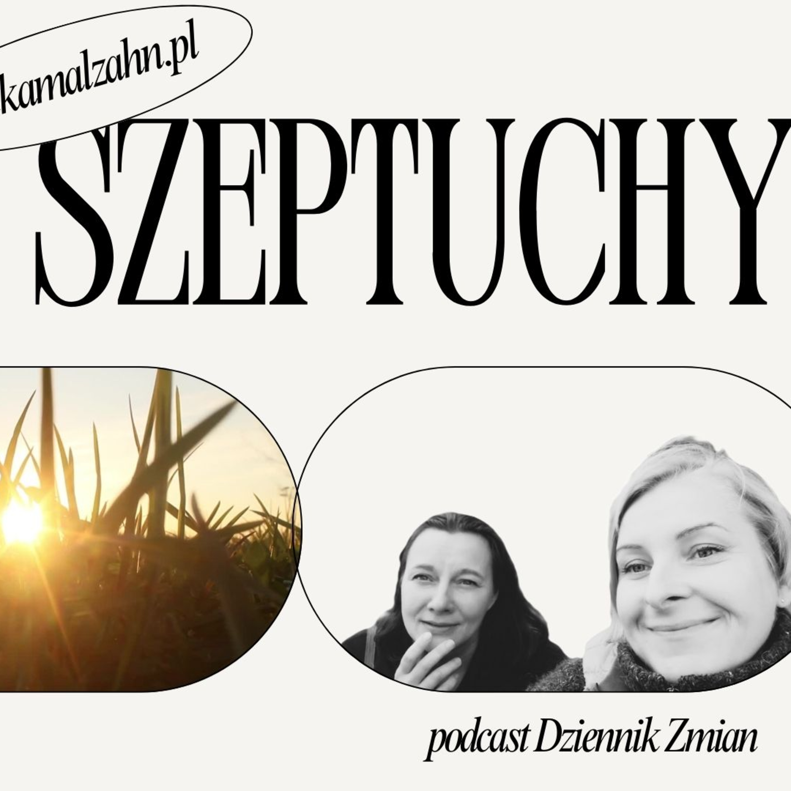 Dziennik Zmian — Miłka O. Malzahn