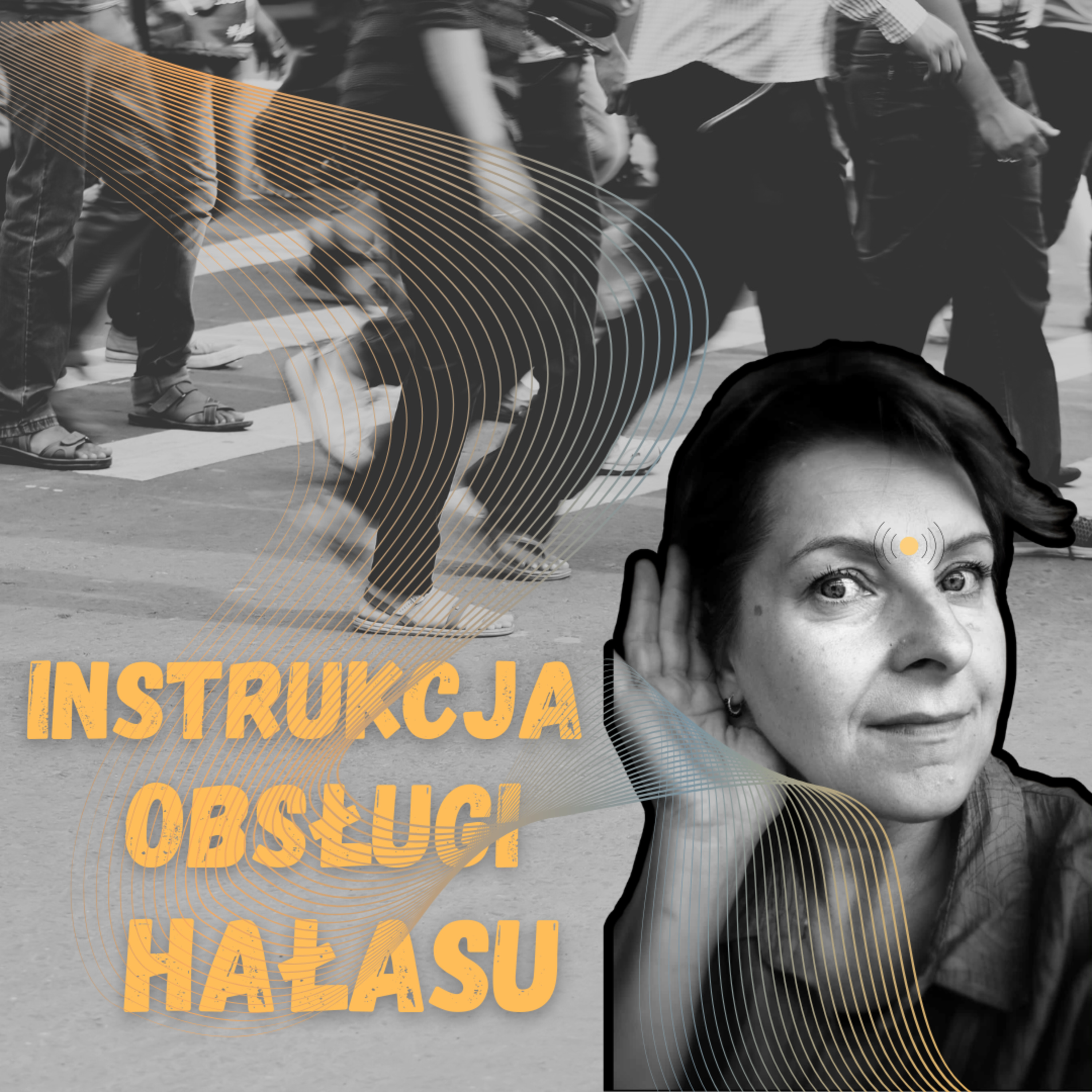 Instrukcja obsługi hałasu #333