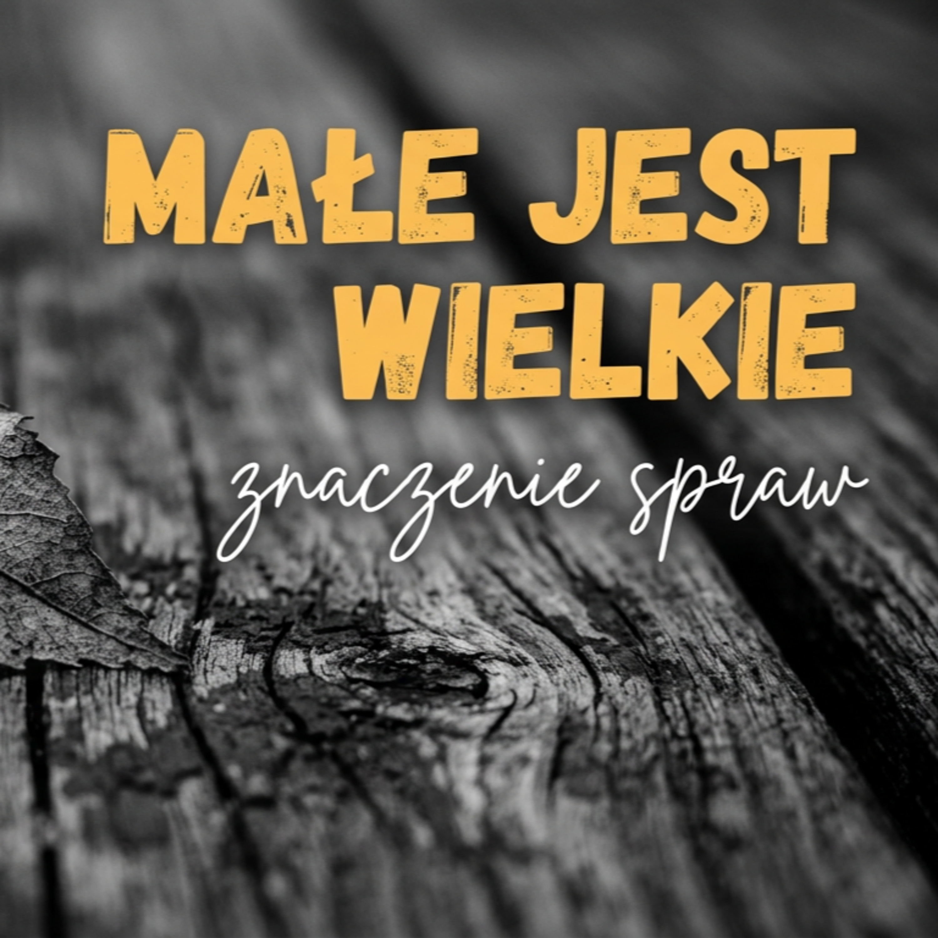Sens małych spraw jest wielki #160 episode artwork