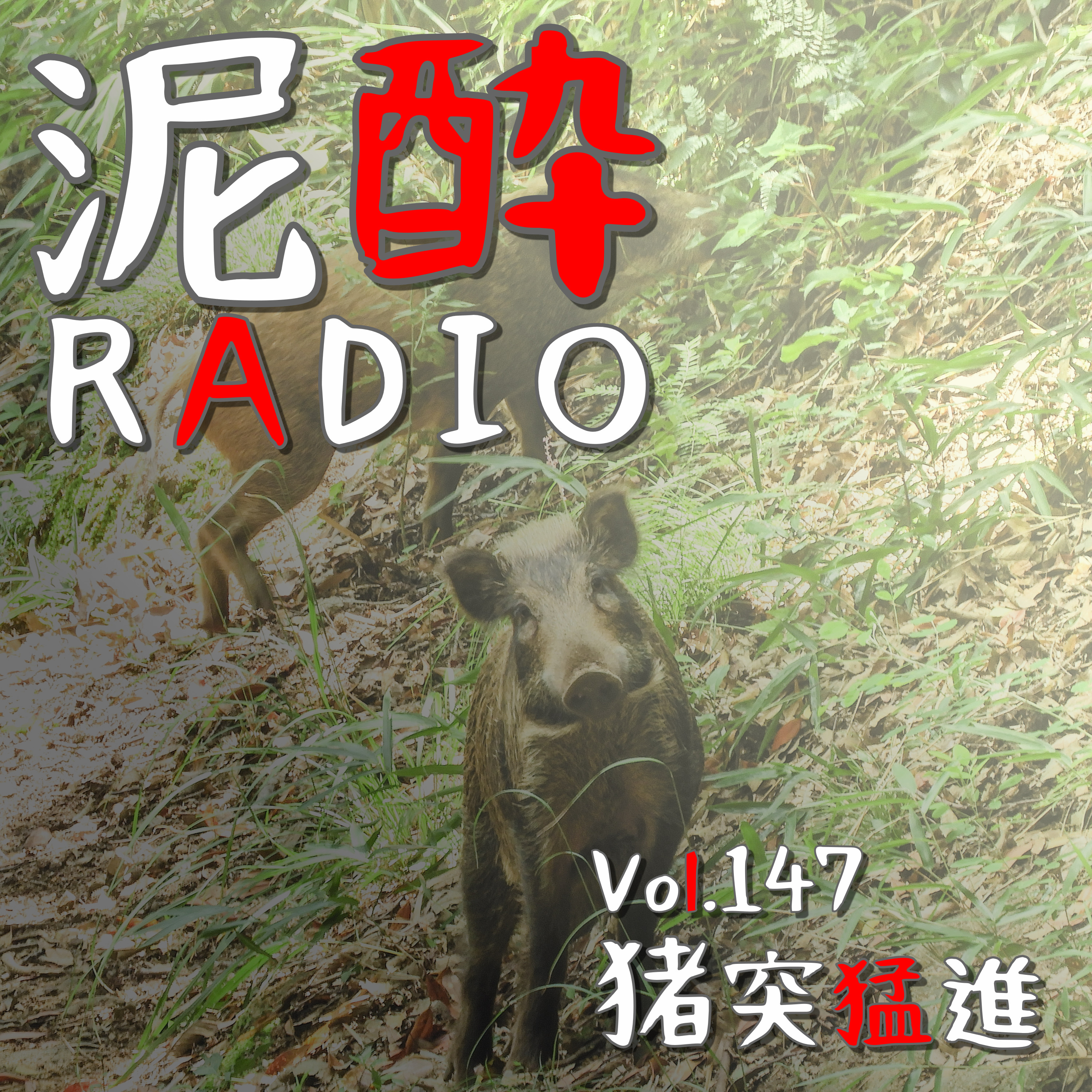 Vol.147 猪突猛進｜全国で発生する獣害問題。生物の多様性とのバランスをどうとるか…被害の実情と原因、対策を考える/叶岳ナイトラン/野生のイノシシに遭遇したときの対策｜パーフェクトサントリービール/SUNTORY episode artwork