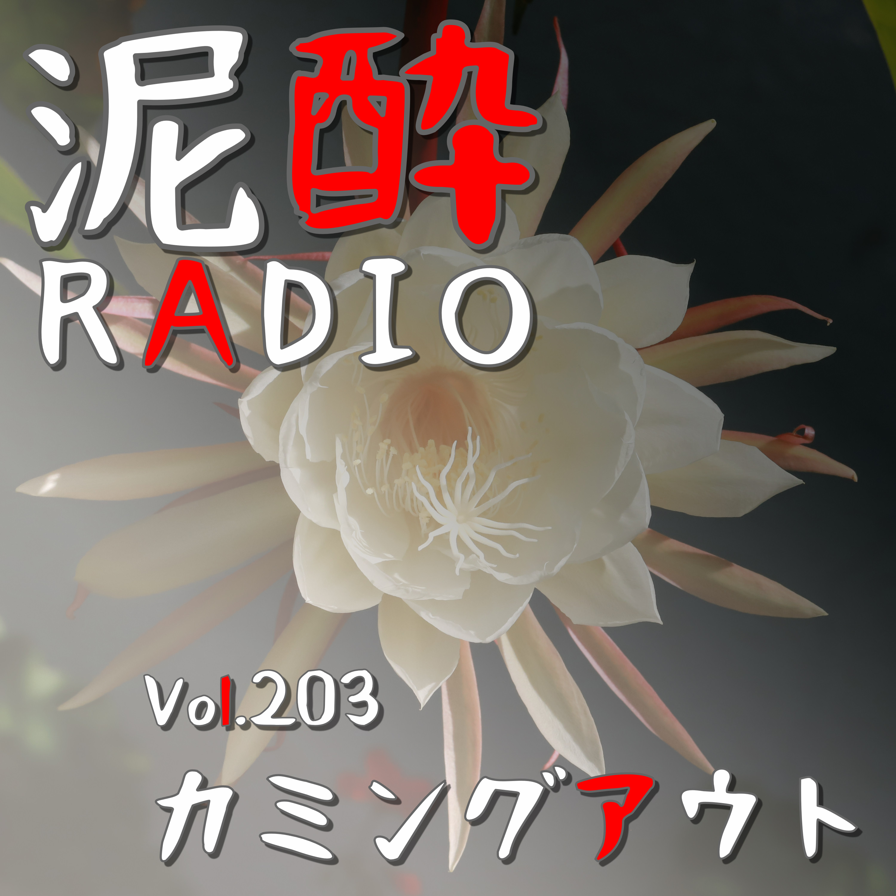 Vol.203 カミングアウト｜「このまま一生隠し通すのかと思うと…」自身のジェンダーを公表できない苦しさ。LGBTQ問題/「受け入れるよ」の残酷さ/他人にとってのマイノリティは案外どうでもよいことだ/ゲイどうしは誰であろうがくっつくと思ってるんか？/過激な活動家の良識を問いたい｜宝焼酎の緑茶割り/宝酒造 episode artwork