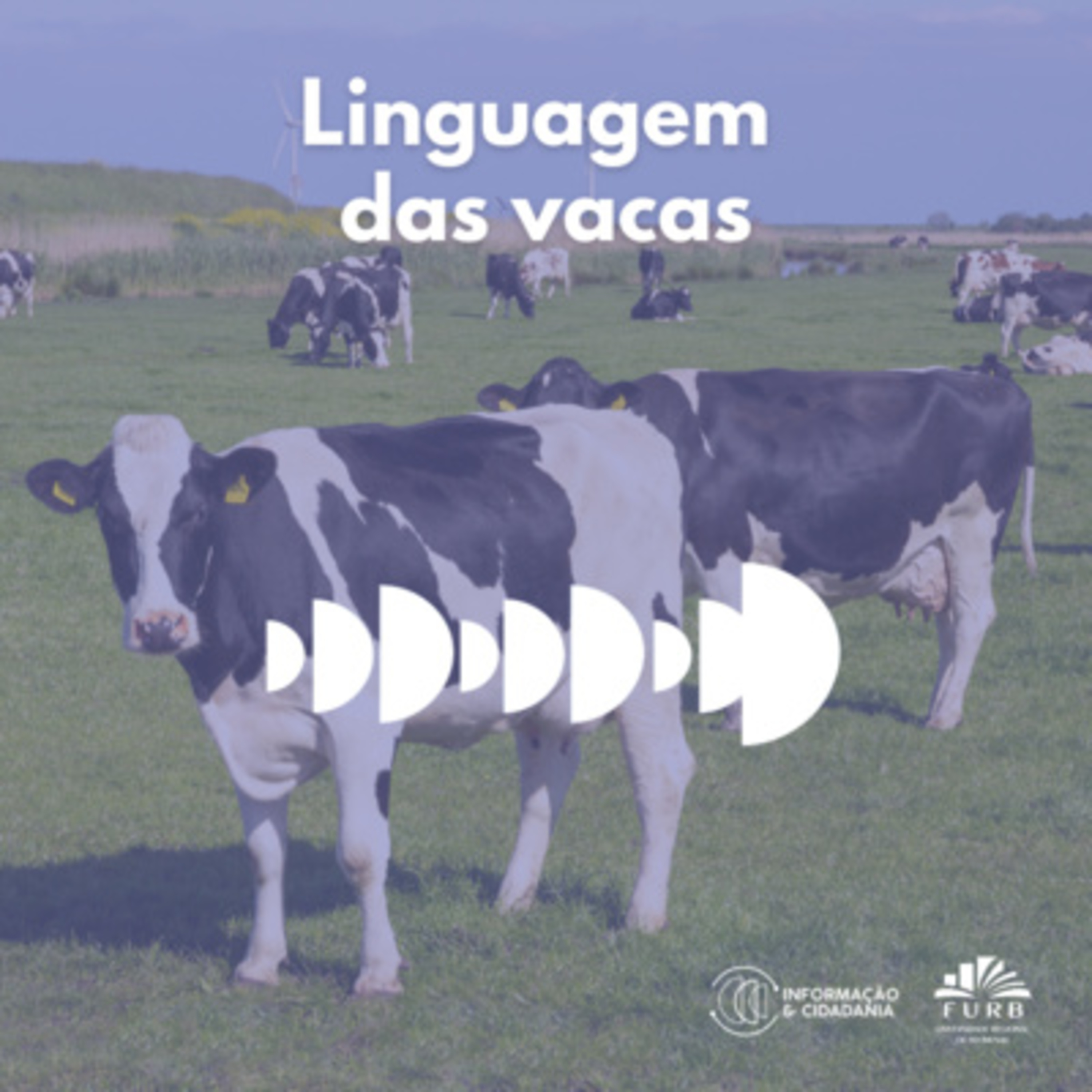 I&C - Linguagem das vacas - 180 episode artwork