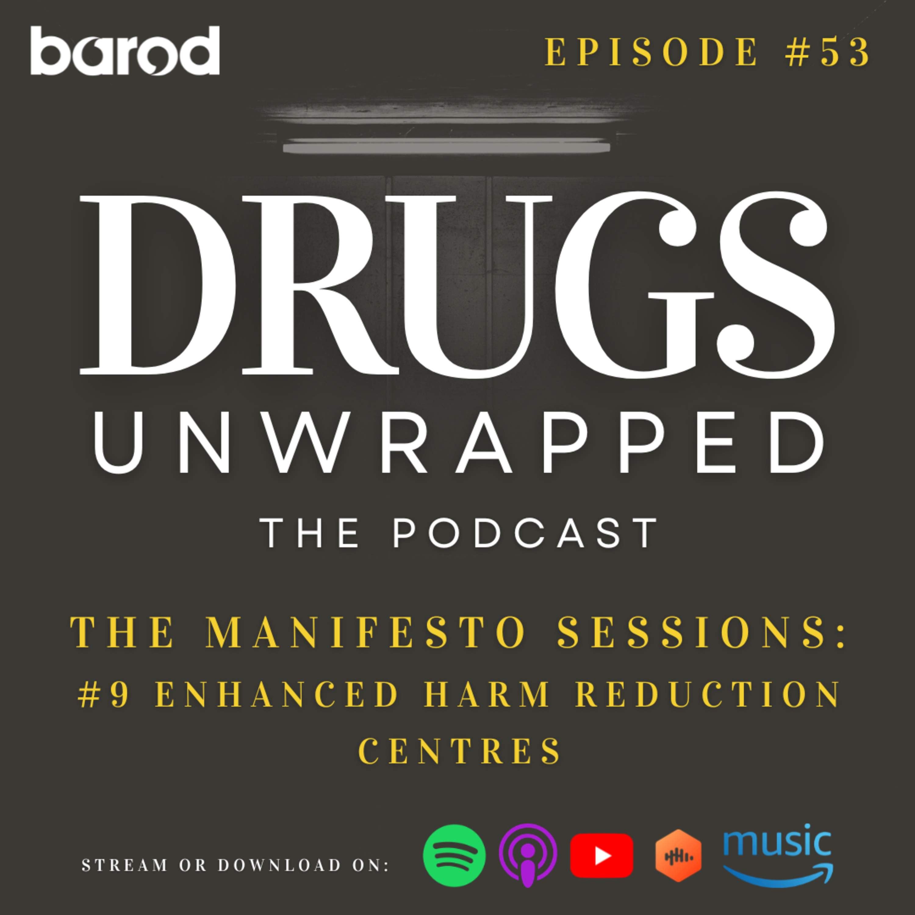 The Manifesto Sessions: #9 Enhanced Harm Reduction Centres episode artwork